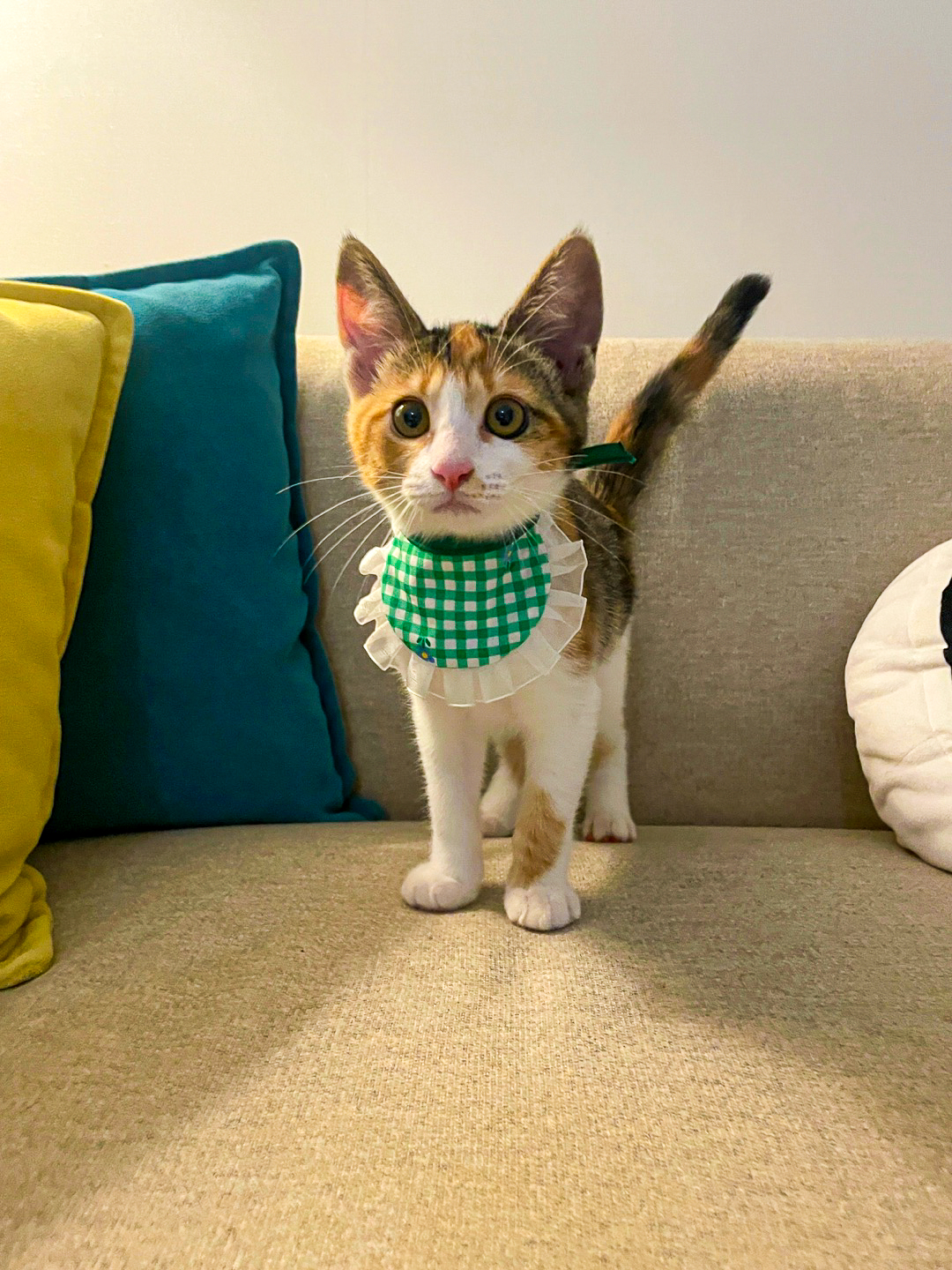 KakaoTalk_20250701_142600052_02-3.jpg