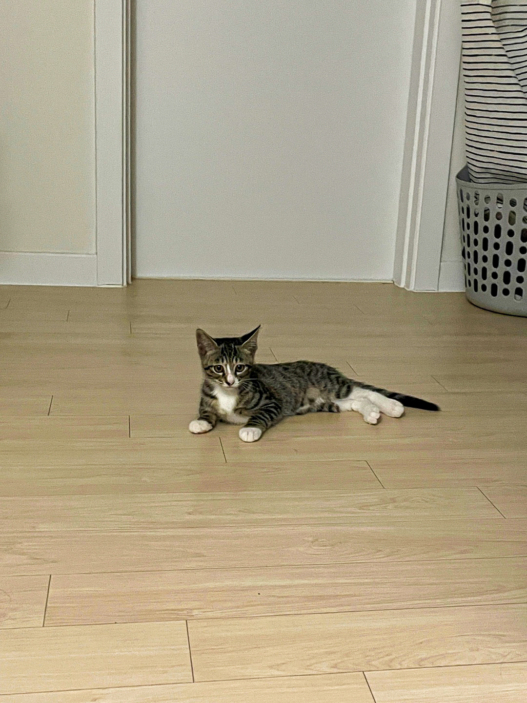 KakaoTalk_20250625_091544034-3.jpg