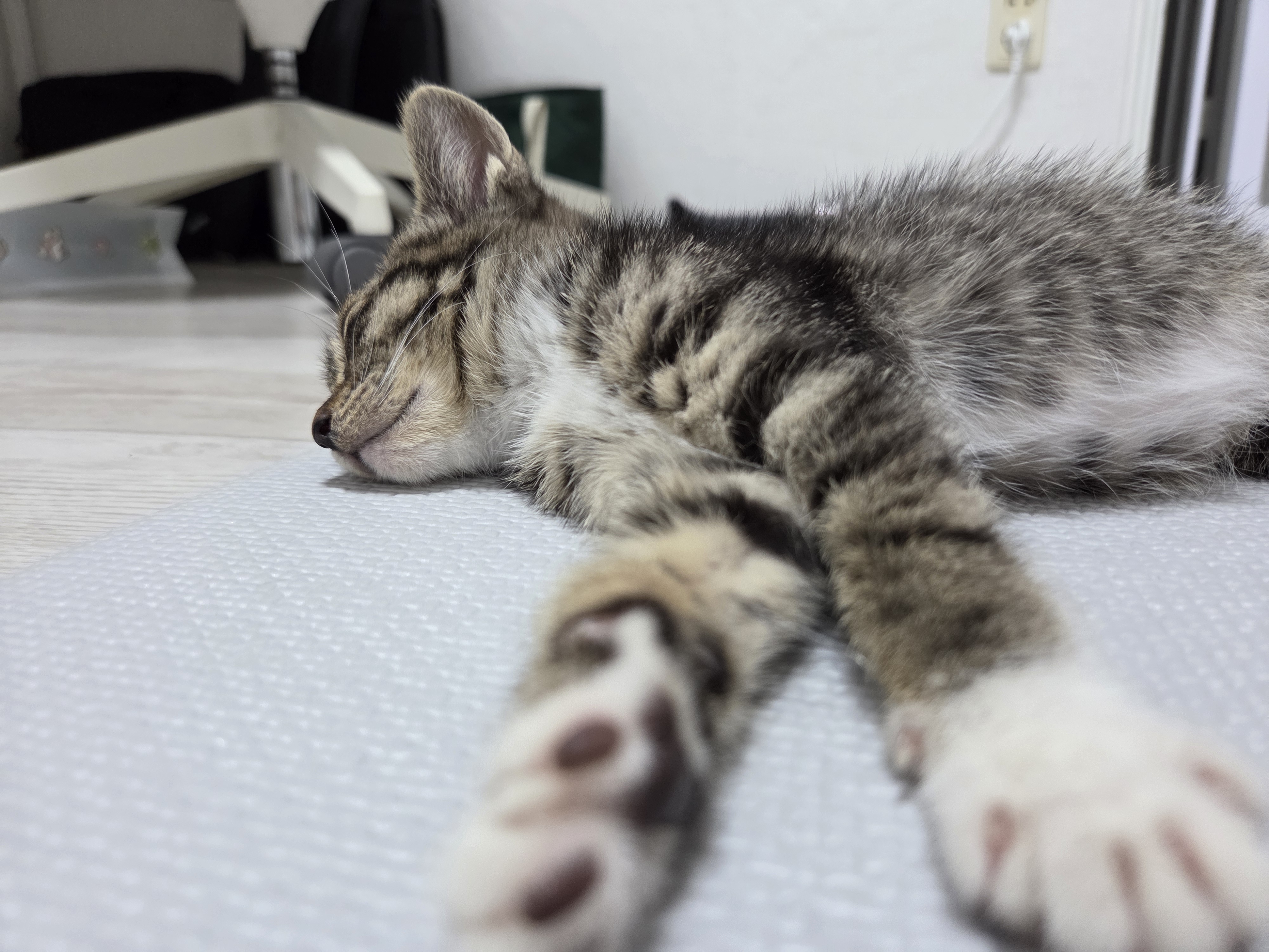 KakaoTalk_20250706_143453628_18.jpg