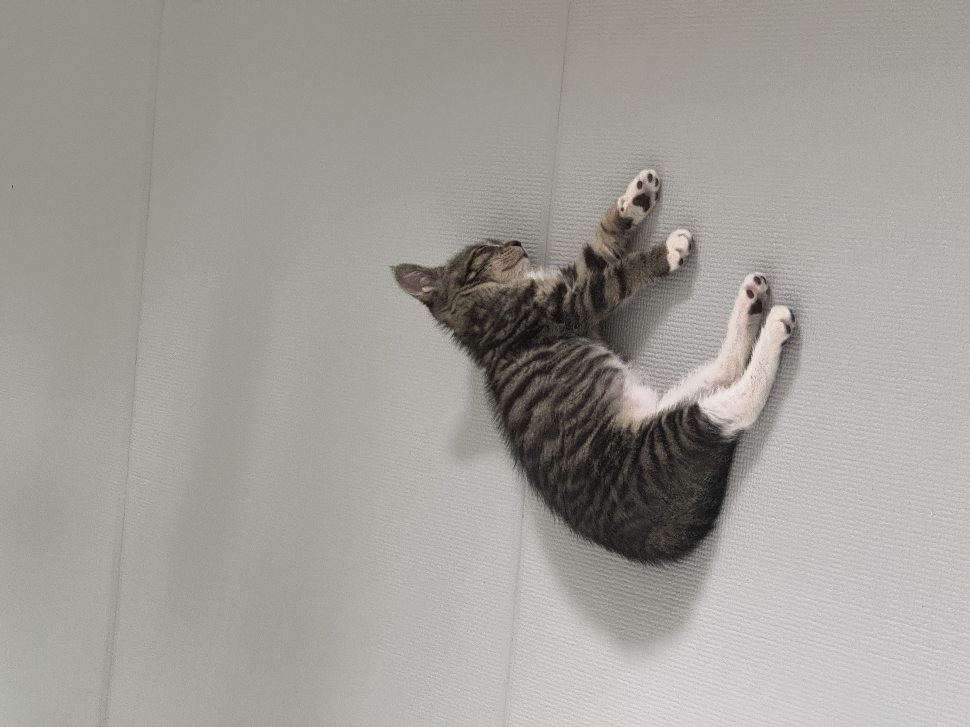 KakaoTalk_20250706_143627867.jpg