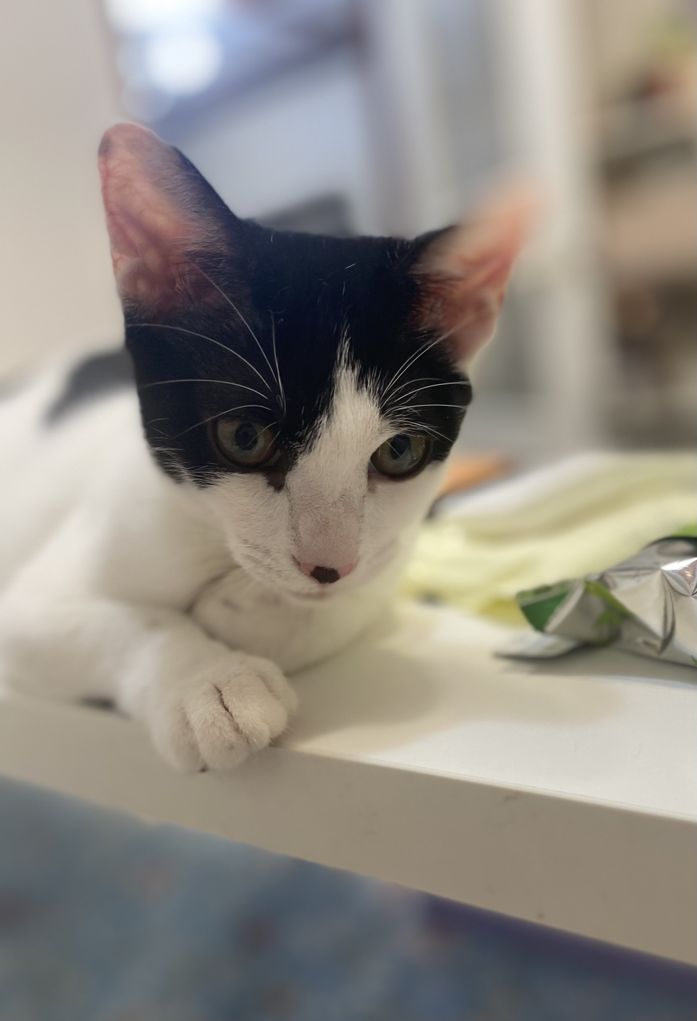 KakaoTalk_20250903_172757970.jpg