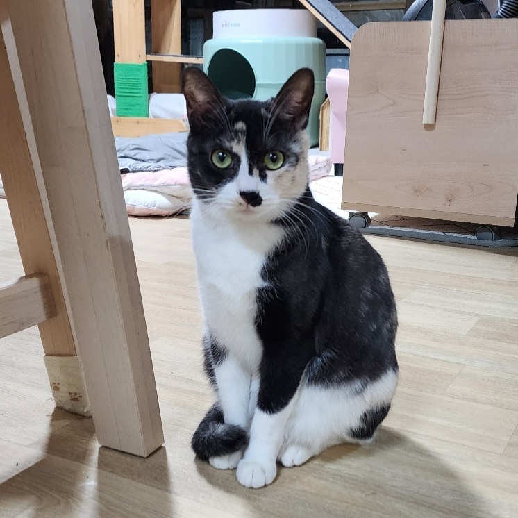KakaoTalk_20250713_223525356_06.jpg