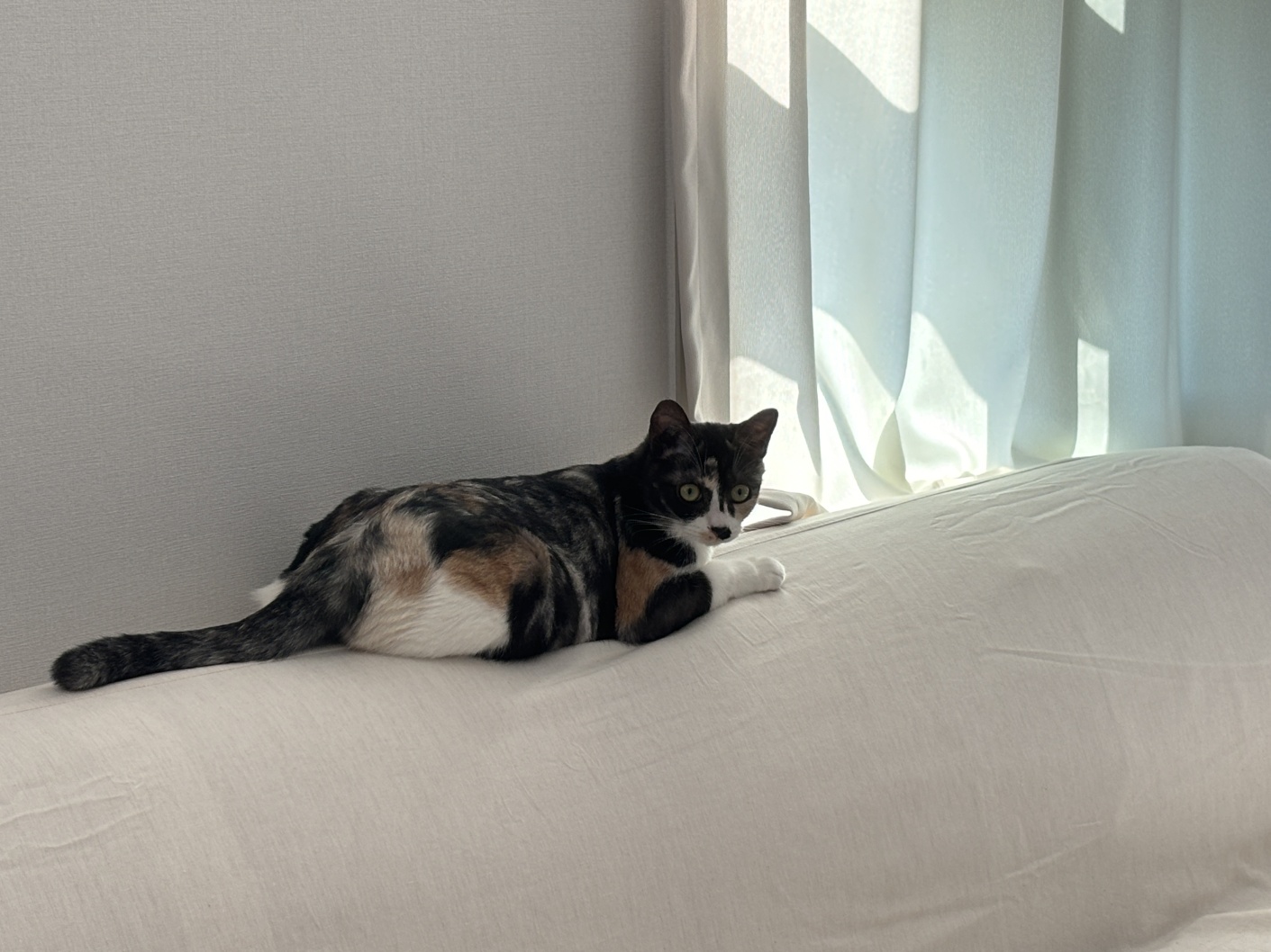 KakaoTalk_20250713_223525356.jpg