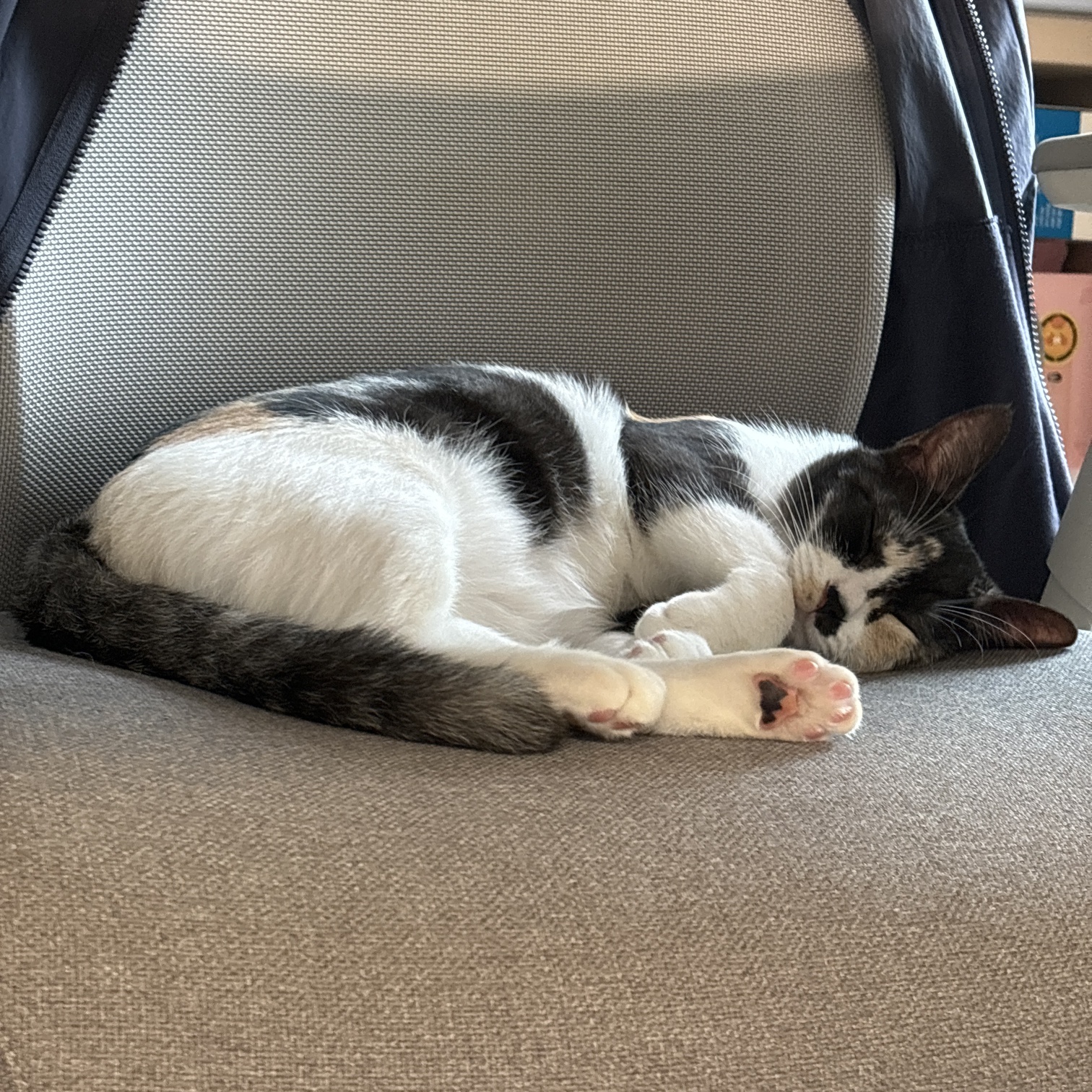 KakaoTalk_20250713_223525356_04.jpg