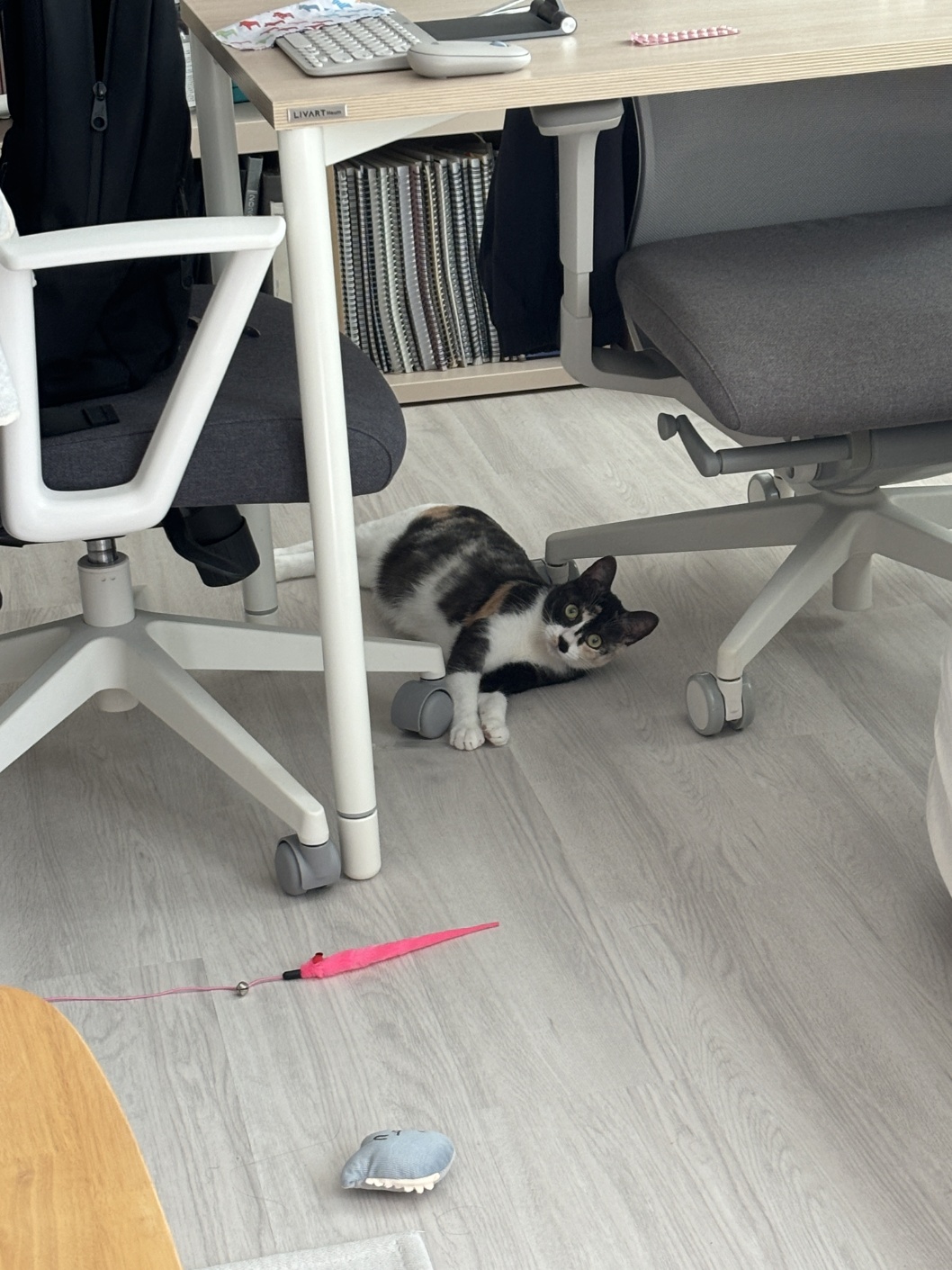 KakaoTalk_20250713_223525356_02.jpg