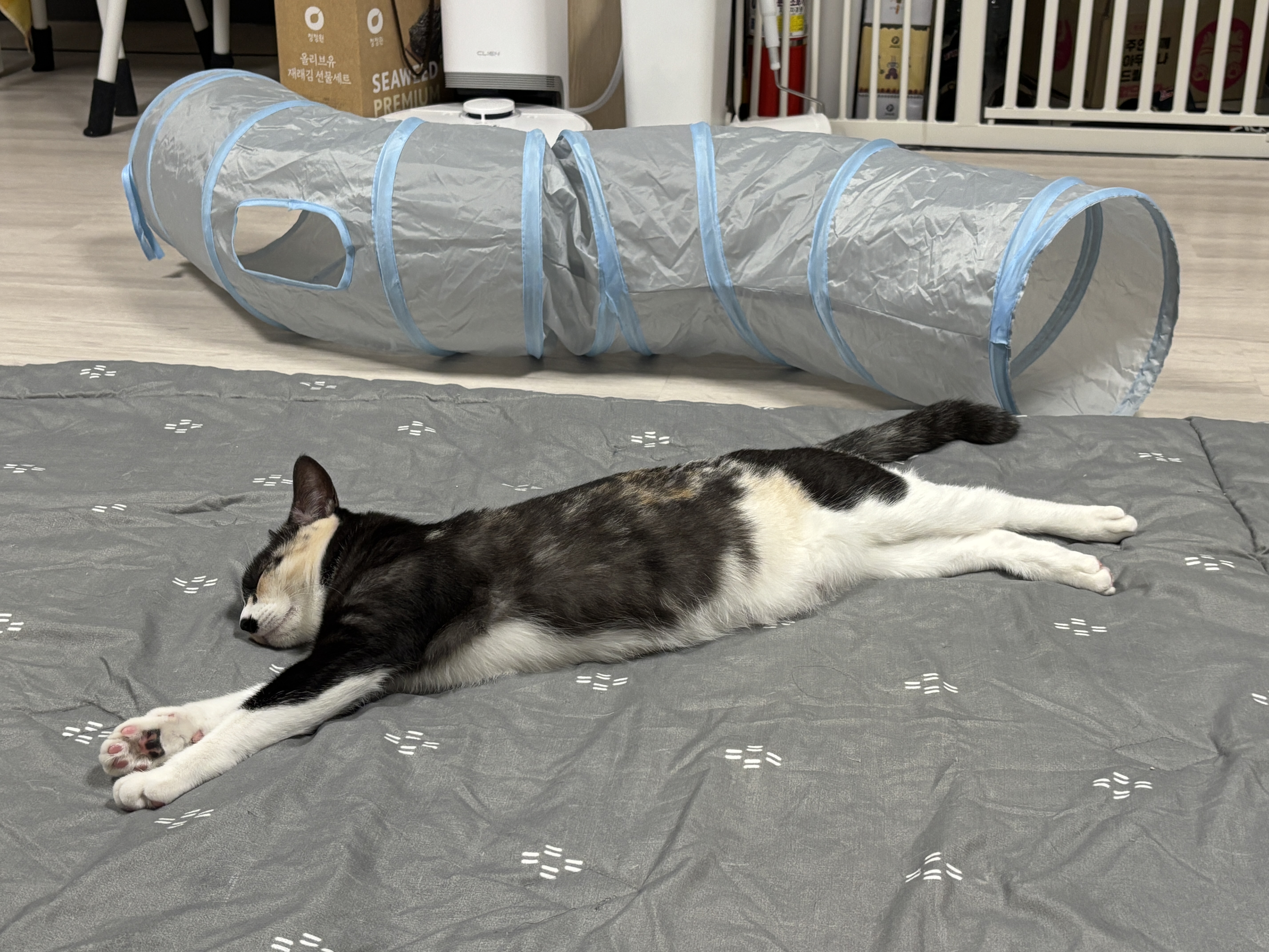 KakaoTalk_20250616_152305288_12.jpg