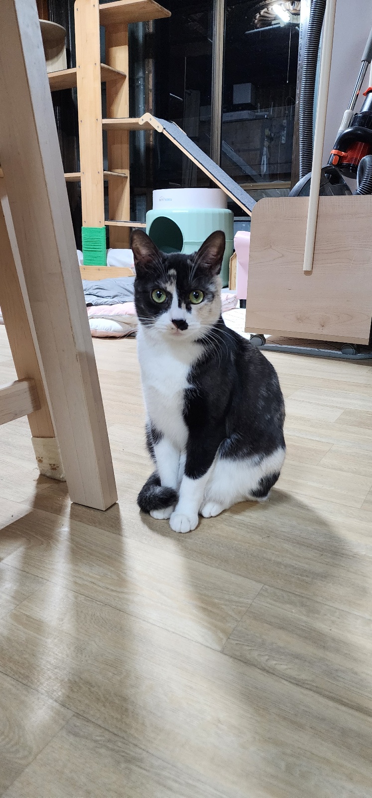 KakaoTalk_20250616_152305288_07.jpg
