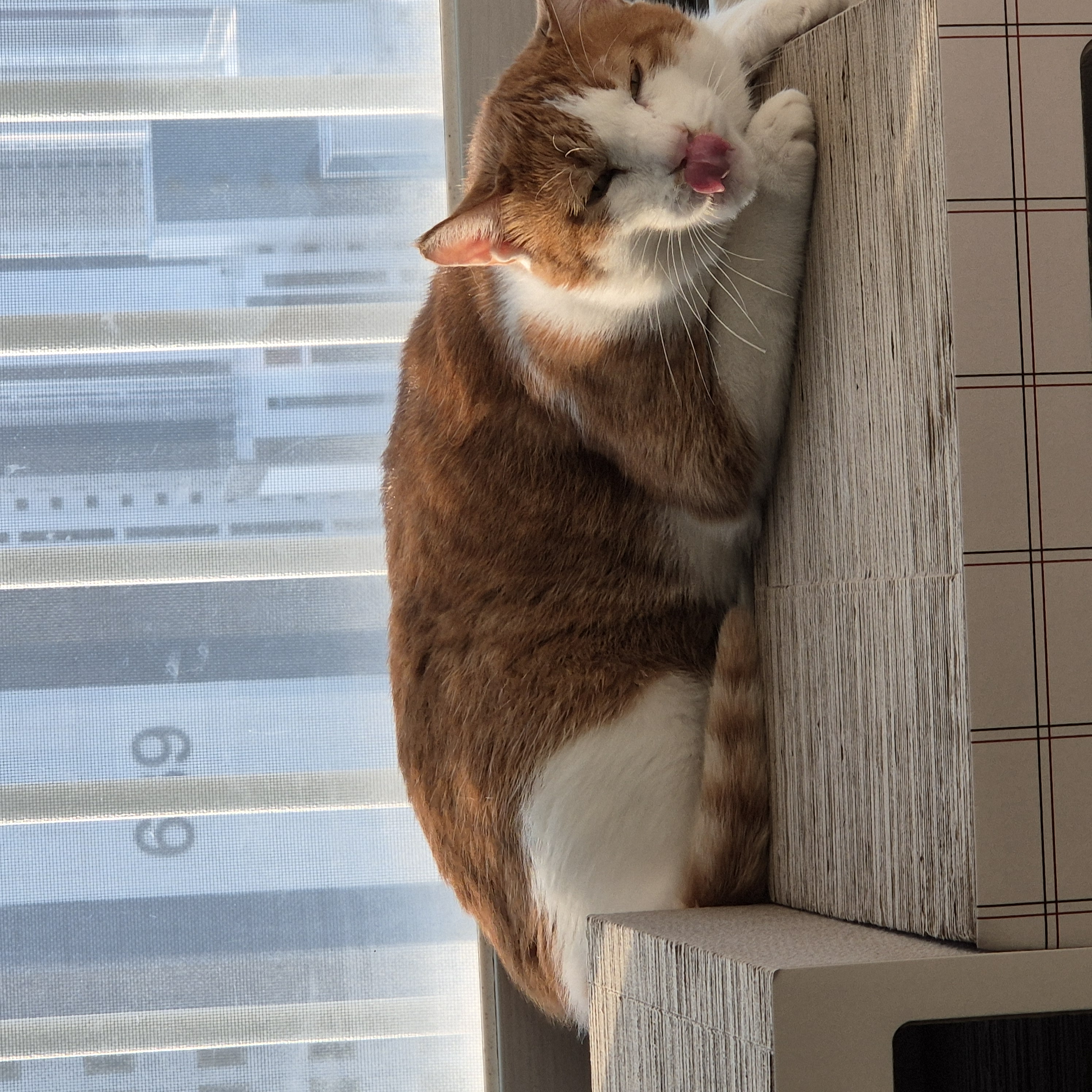 오월이 귀욤.jpg