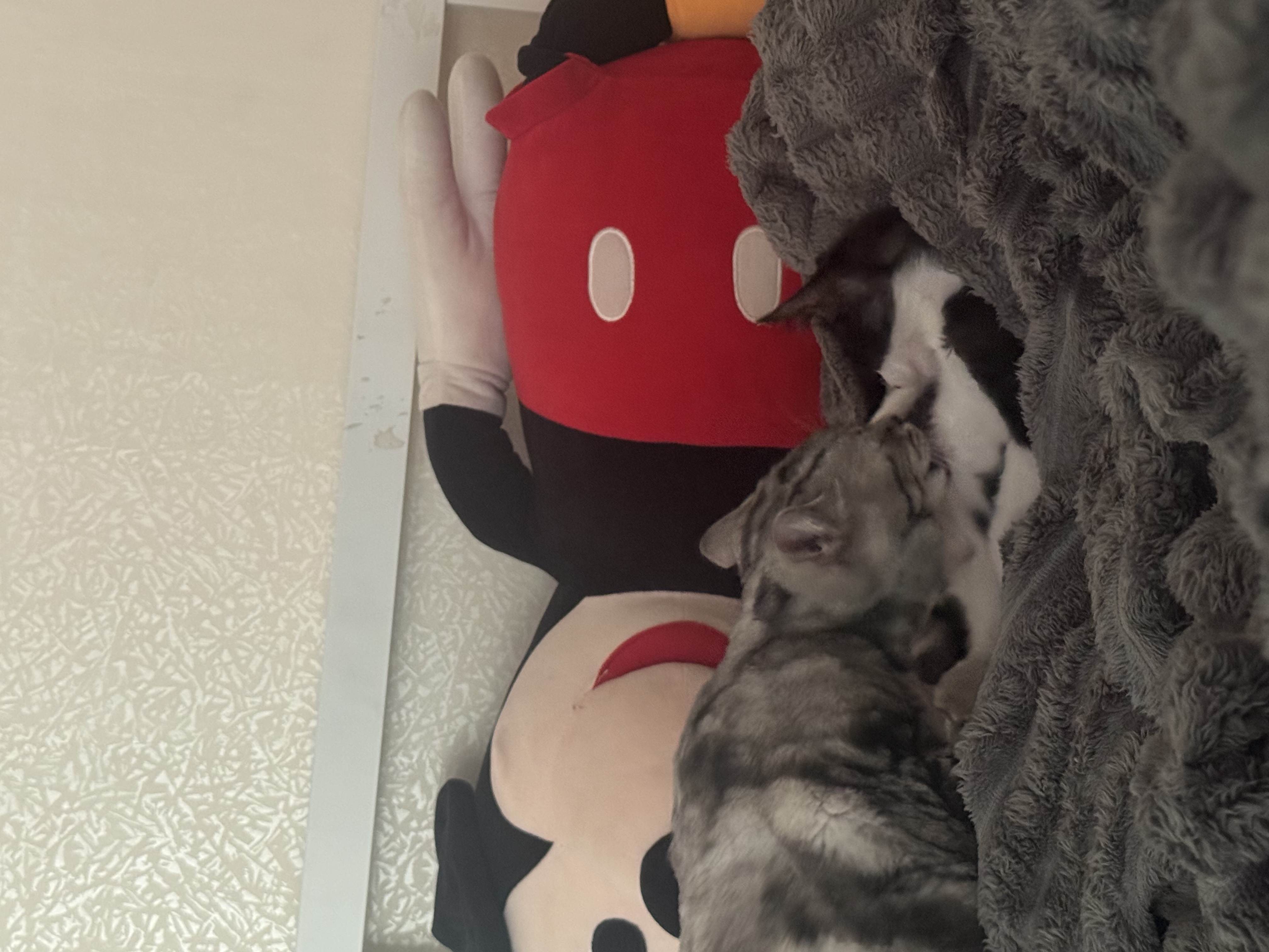KakaoTalk_20250826_141842764.jpg