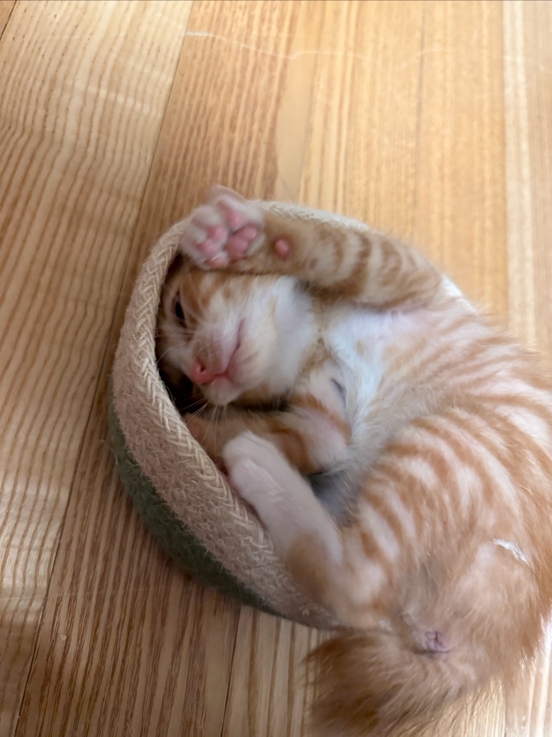 KakaoTalk_20250601_224730482_09.jpg