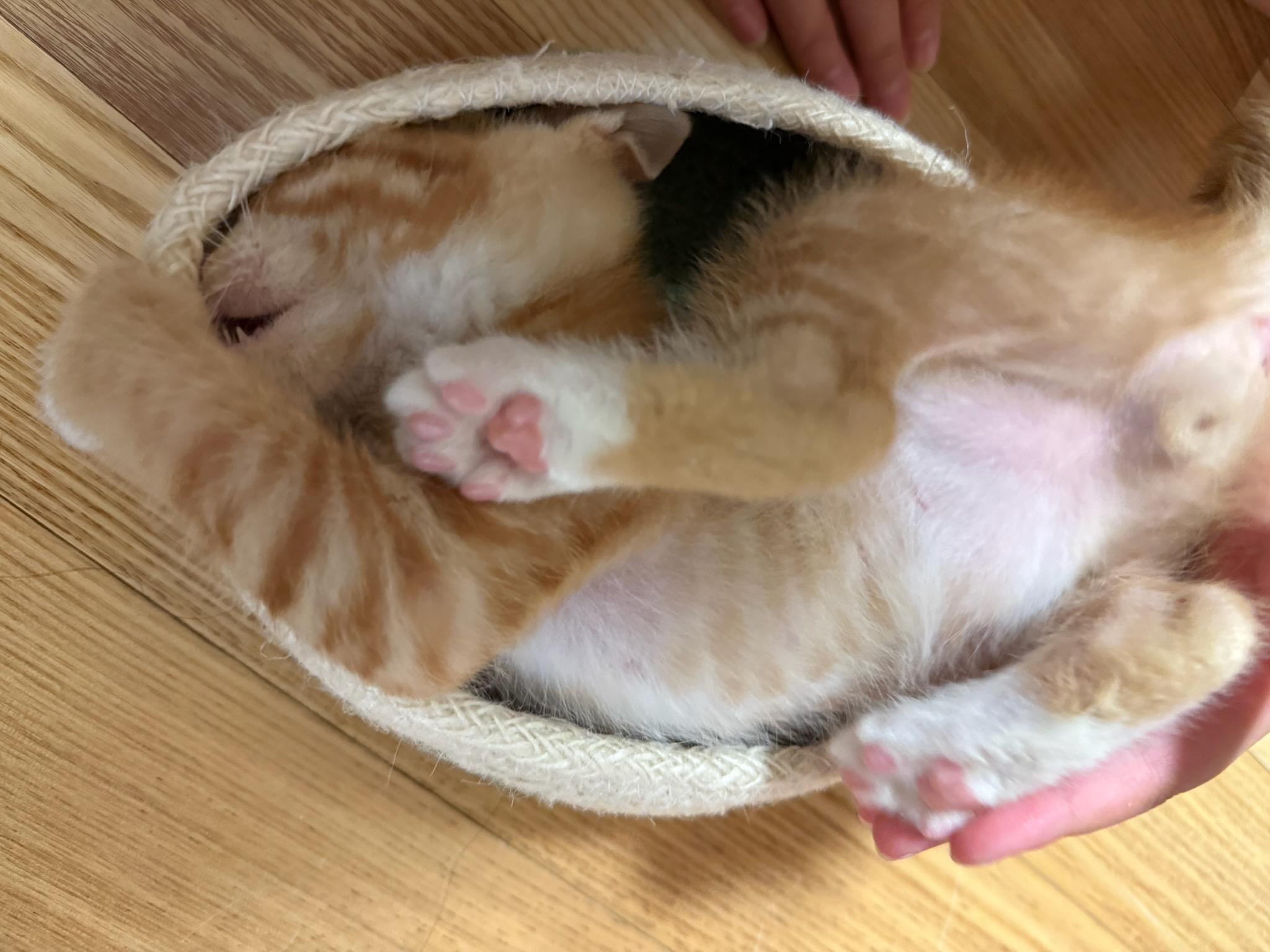 KakaoTalk_20250601_224730482_06.jpg