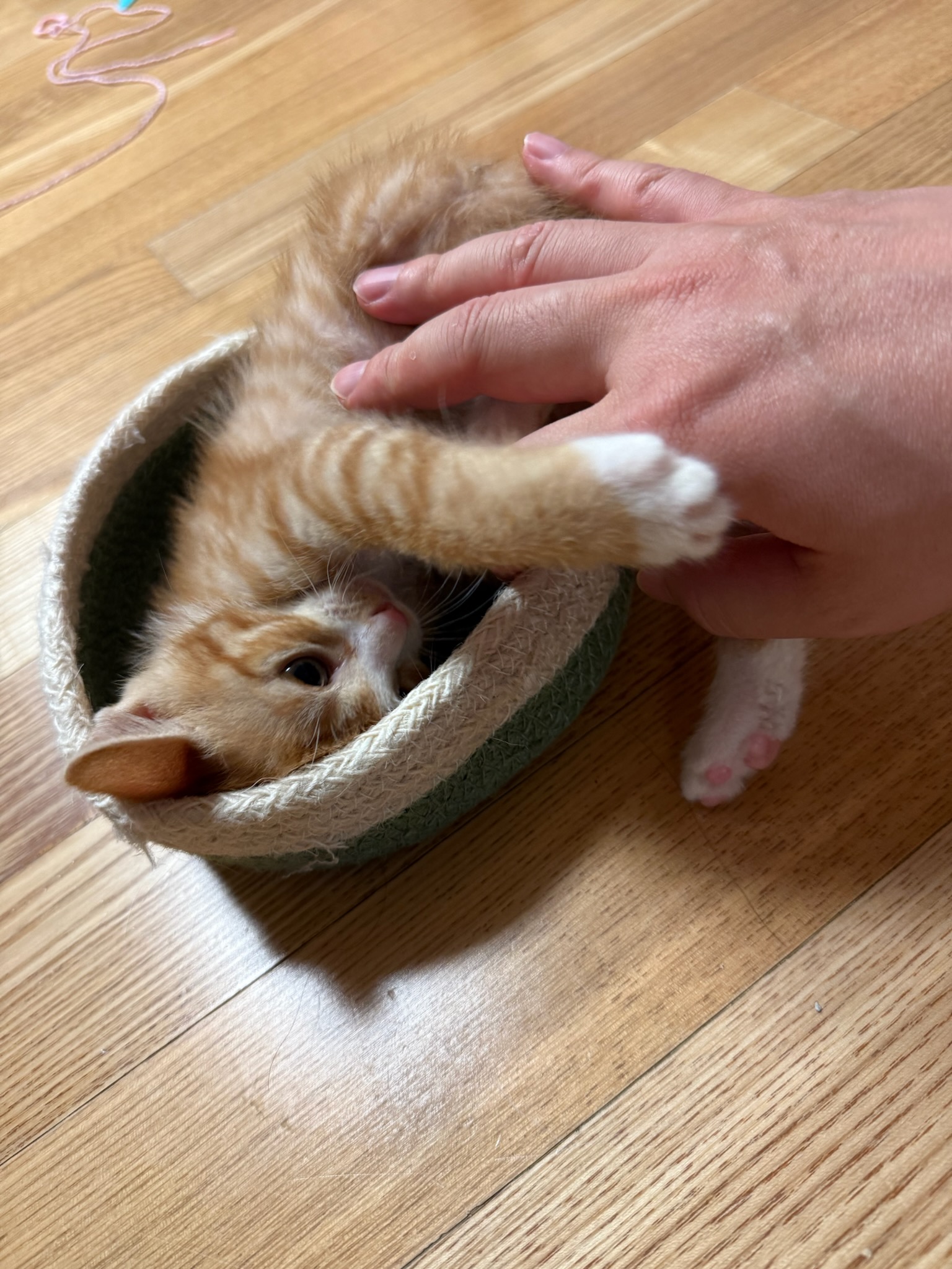 KakaoTalk_20250601_224730482_04.jpg