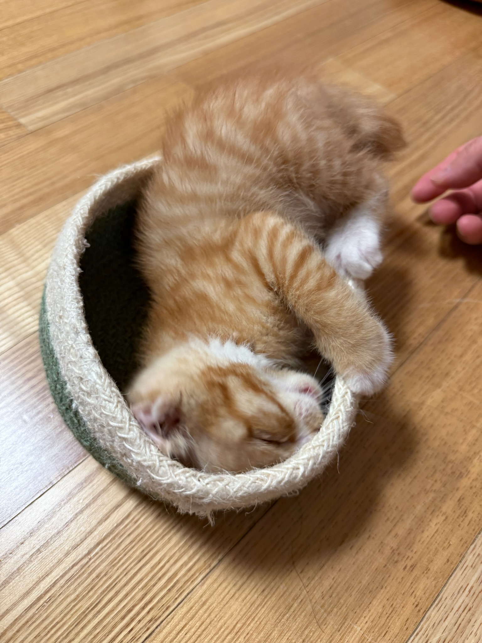KakaoTalk_20250601_224730482_03.jpg