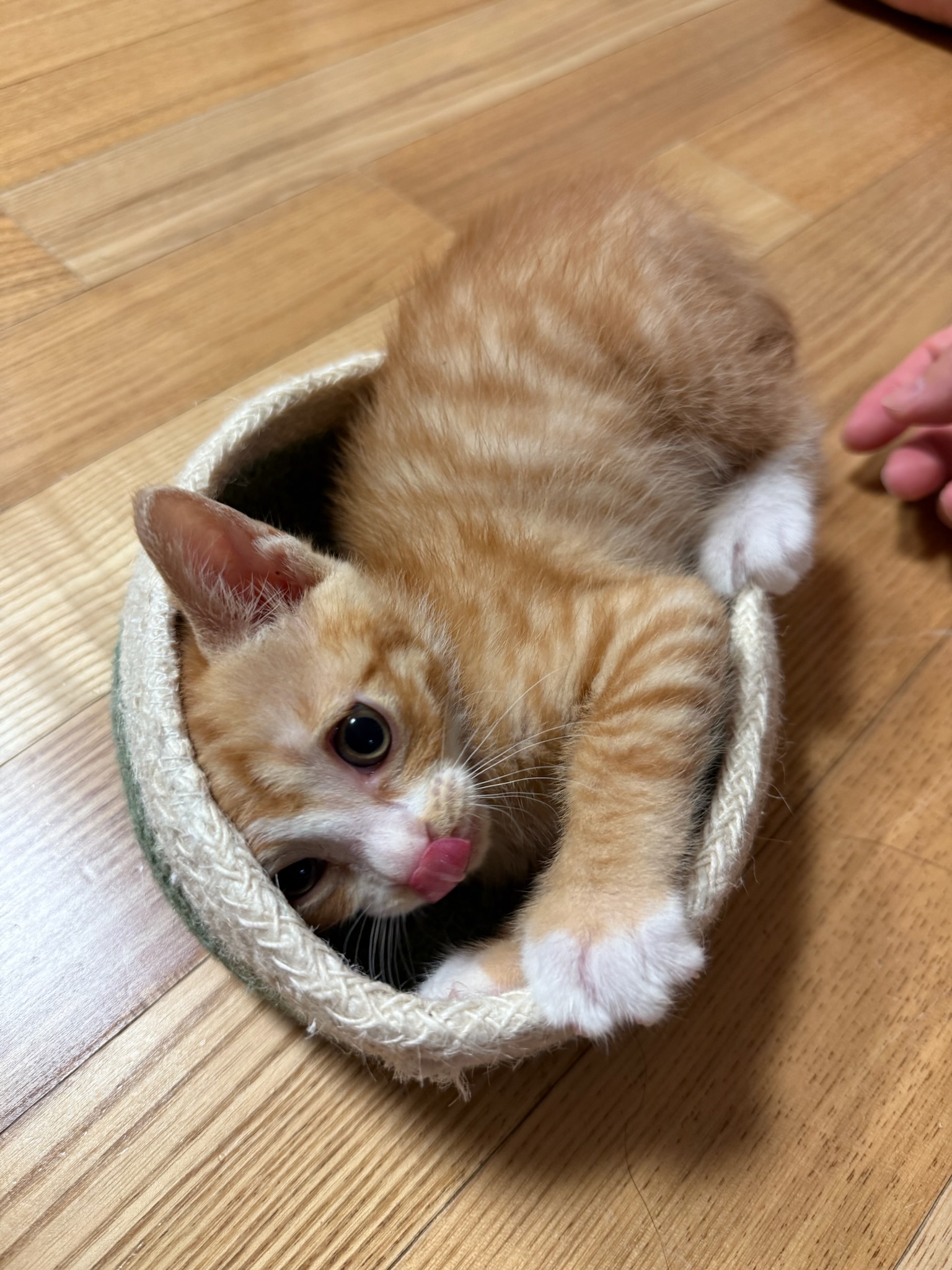 KakaoTalk_20250601_224730482_02.jpg