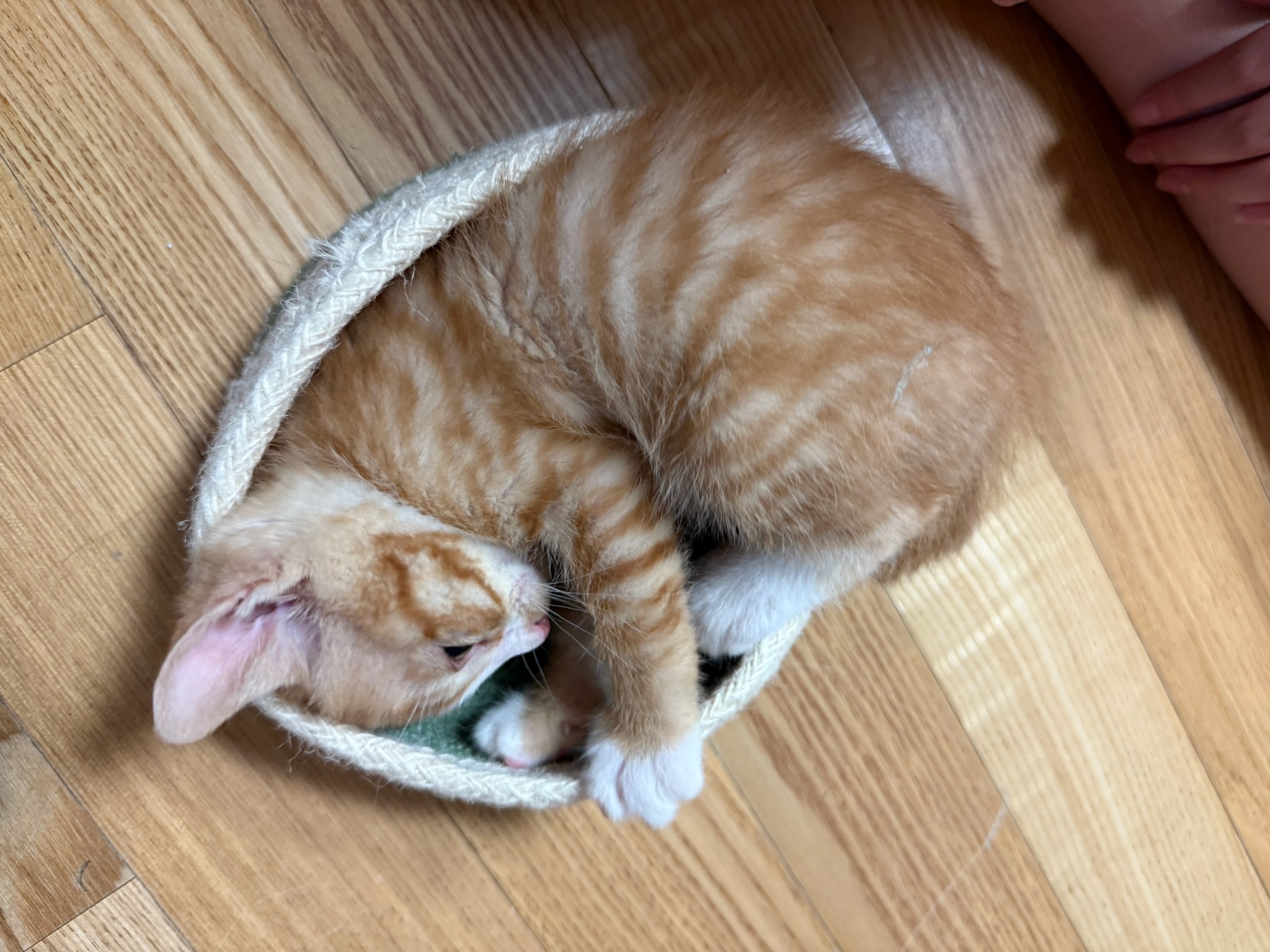 KakaoTalk_20250601_224730482_08.jpg
