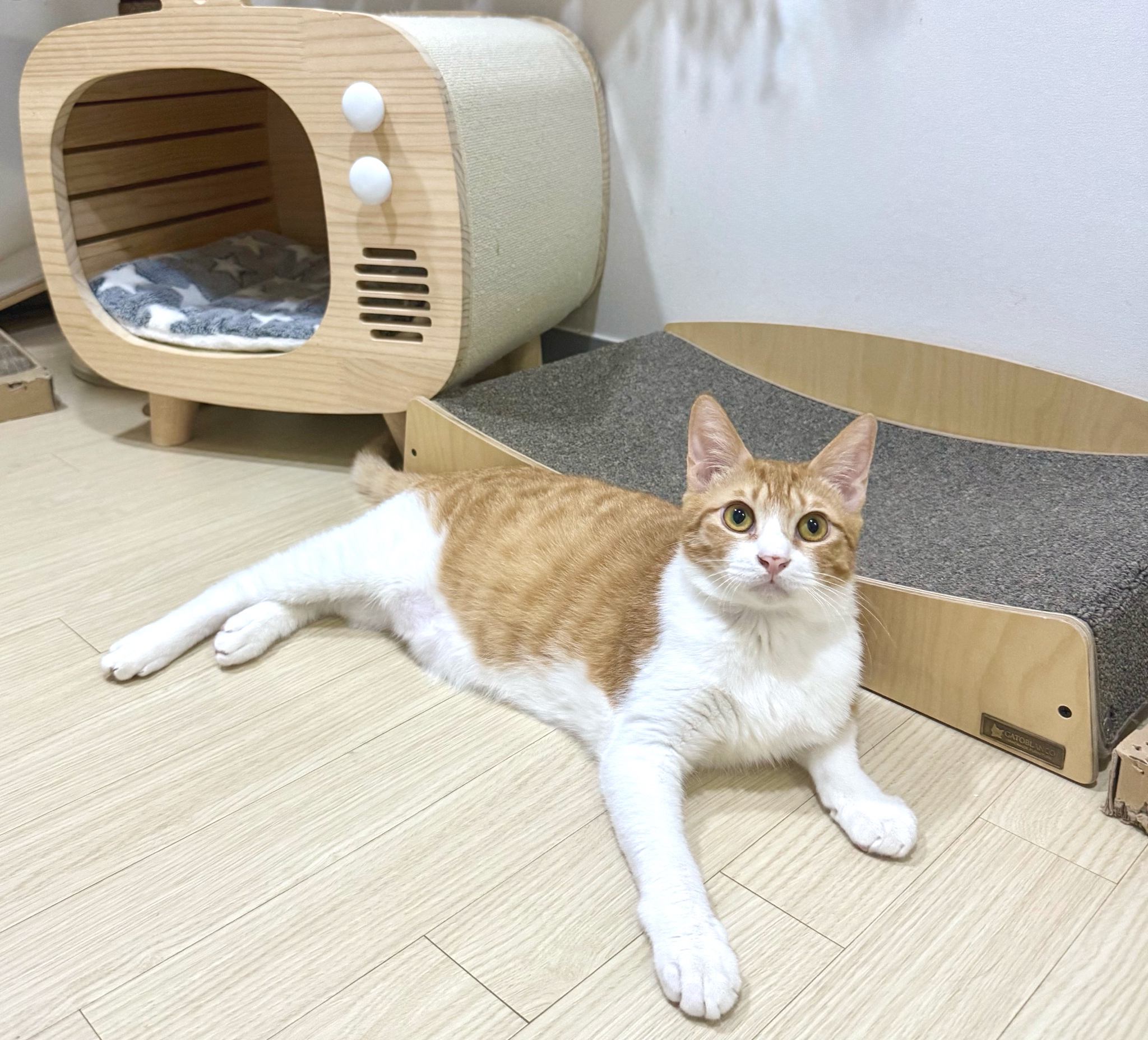 KakaoTalk_20250711_232659866_04.jpg