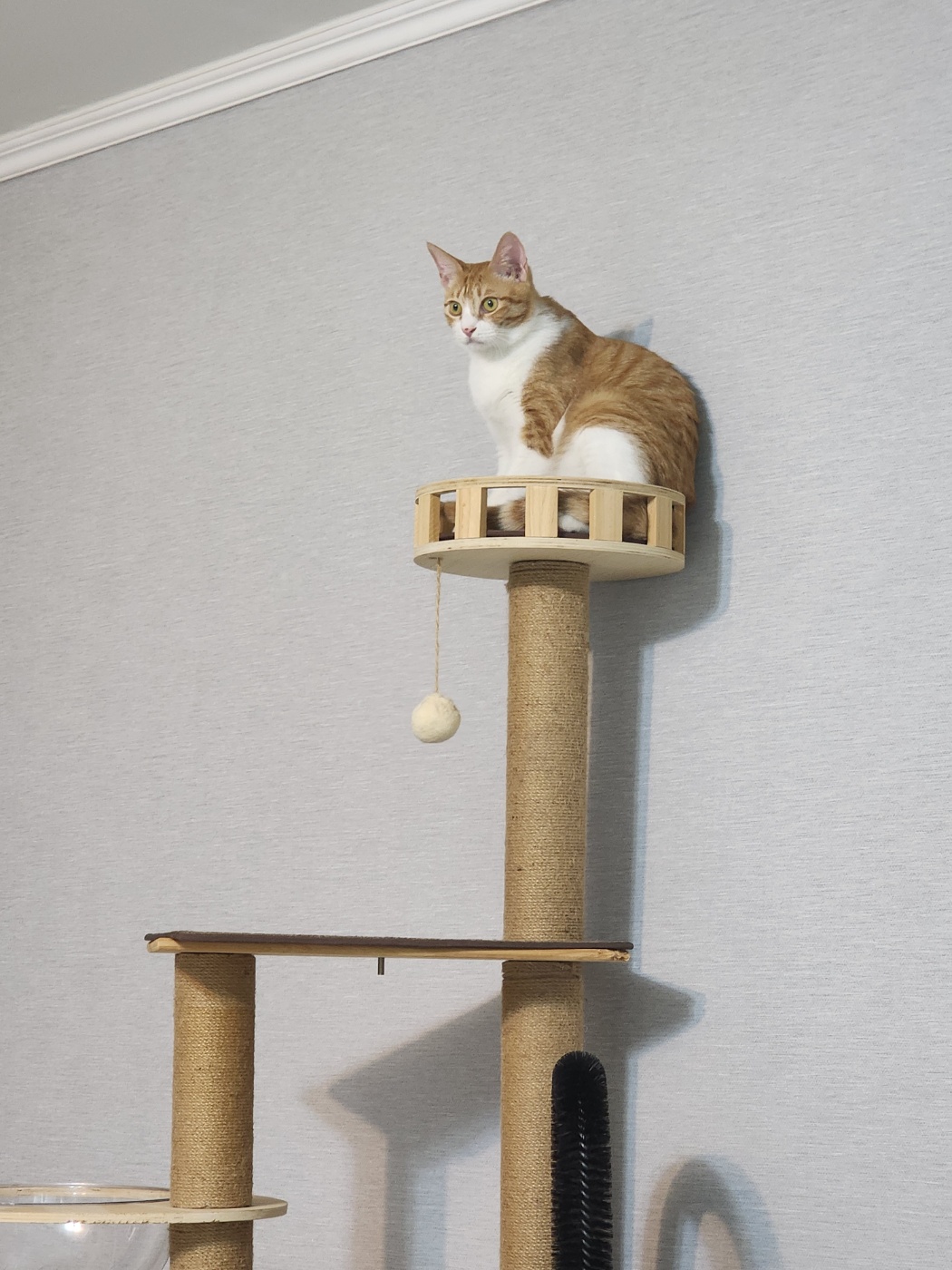 KakaoTalk_20250711_232659866_10.jpg