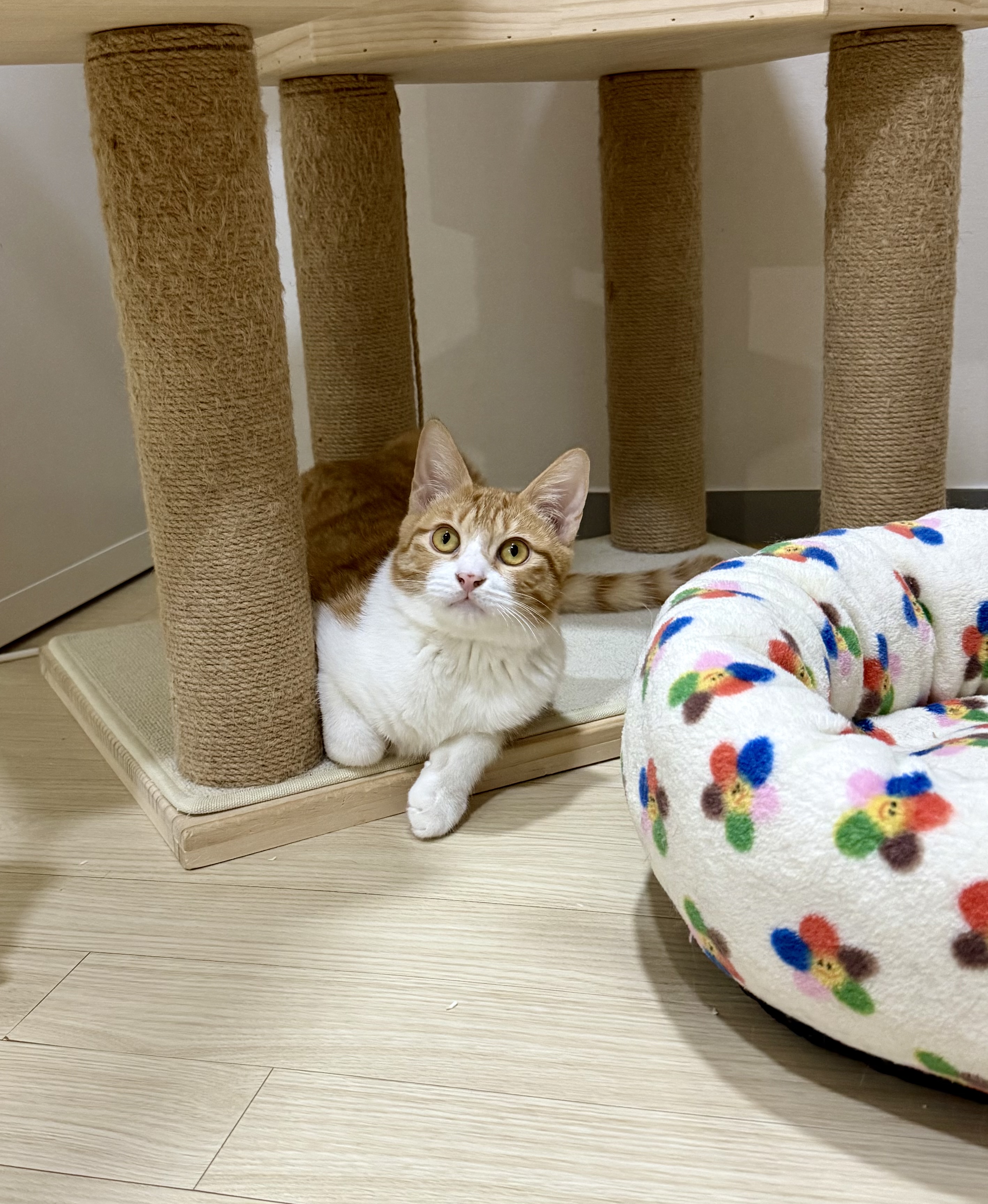 KakaoTalk_20250711_232659866_02.jpg