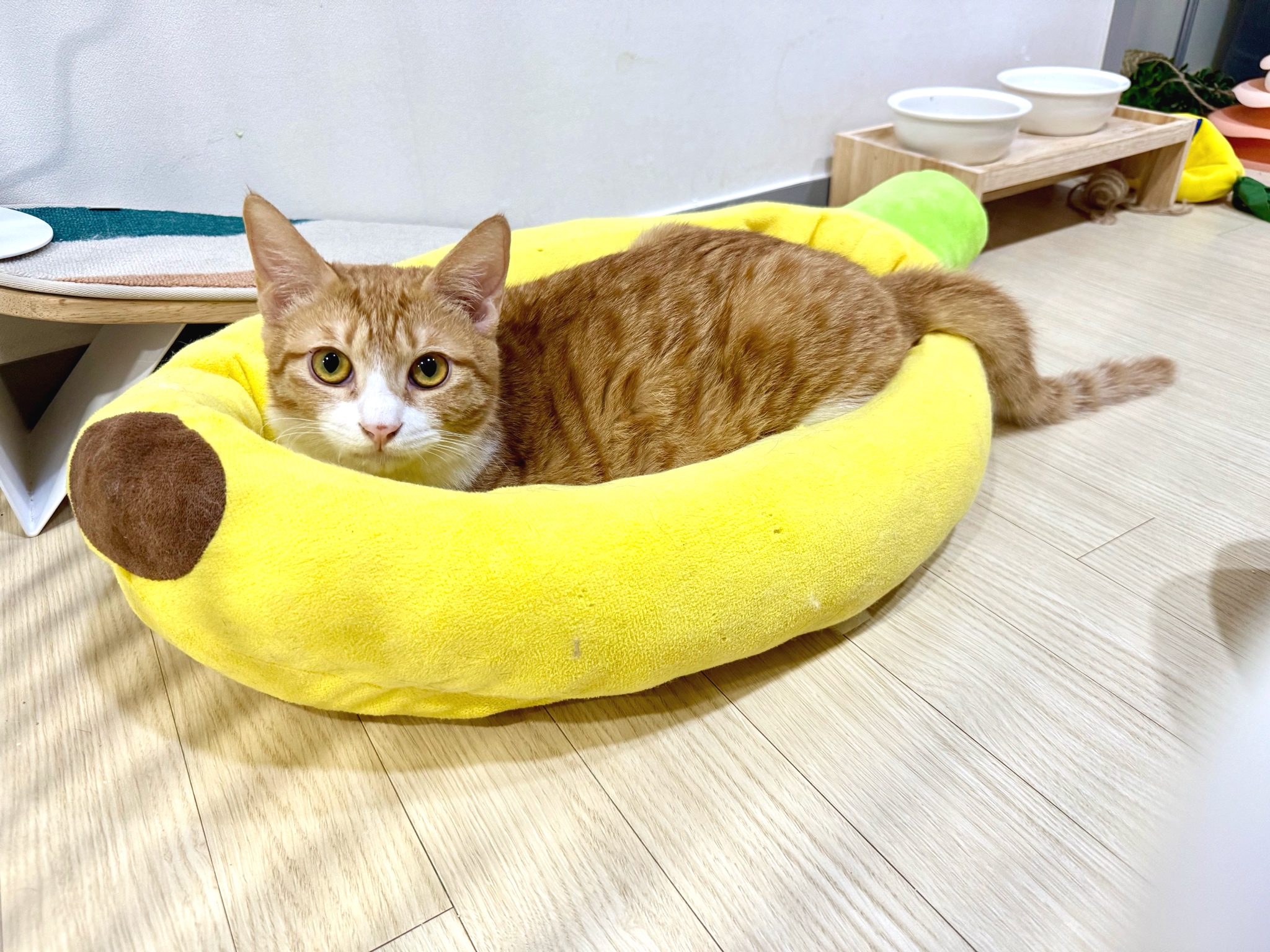 KakaoTalk_20250711_232659866_05.jpg