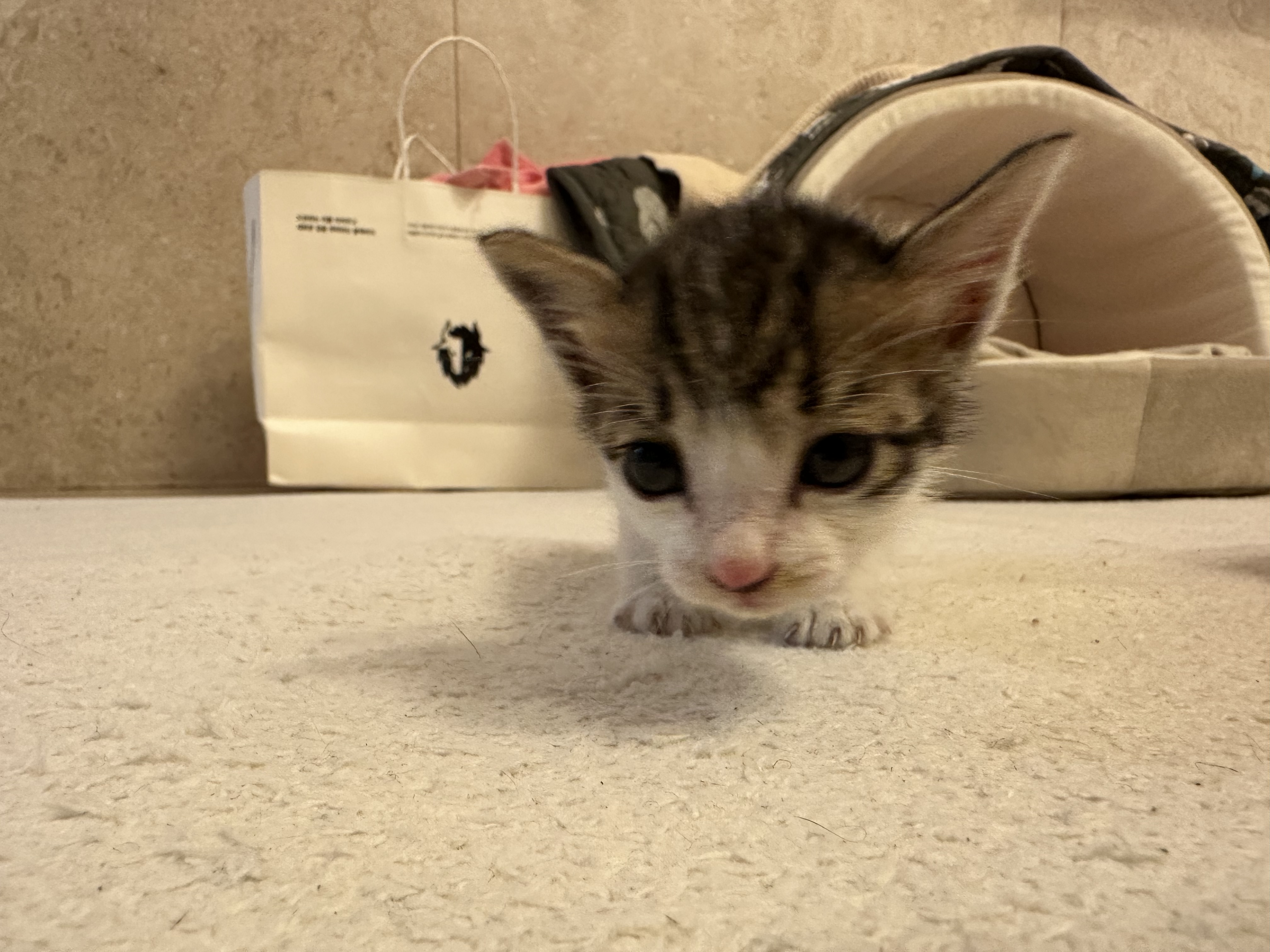 KakaoTalk_20250925_123117905.jpg