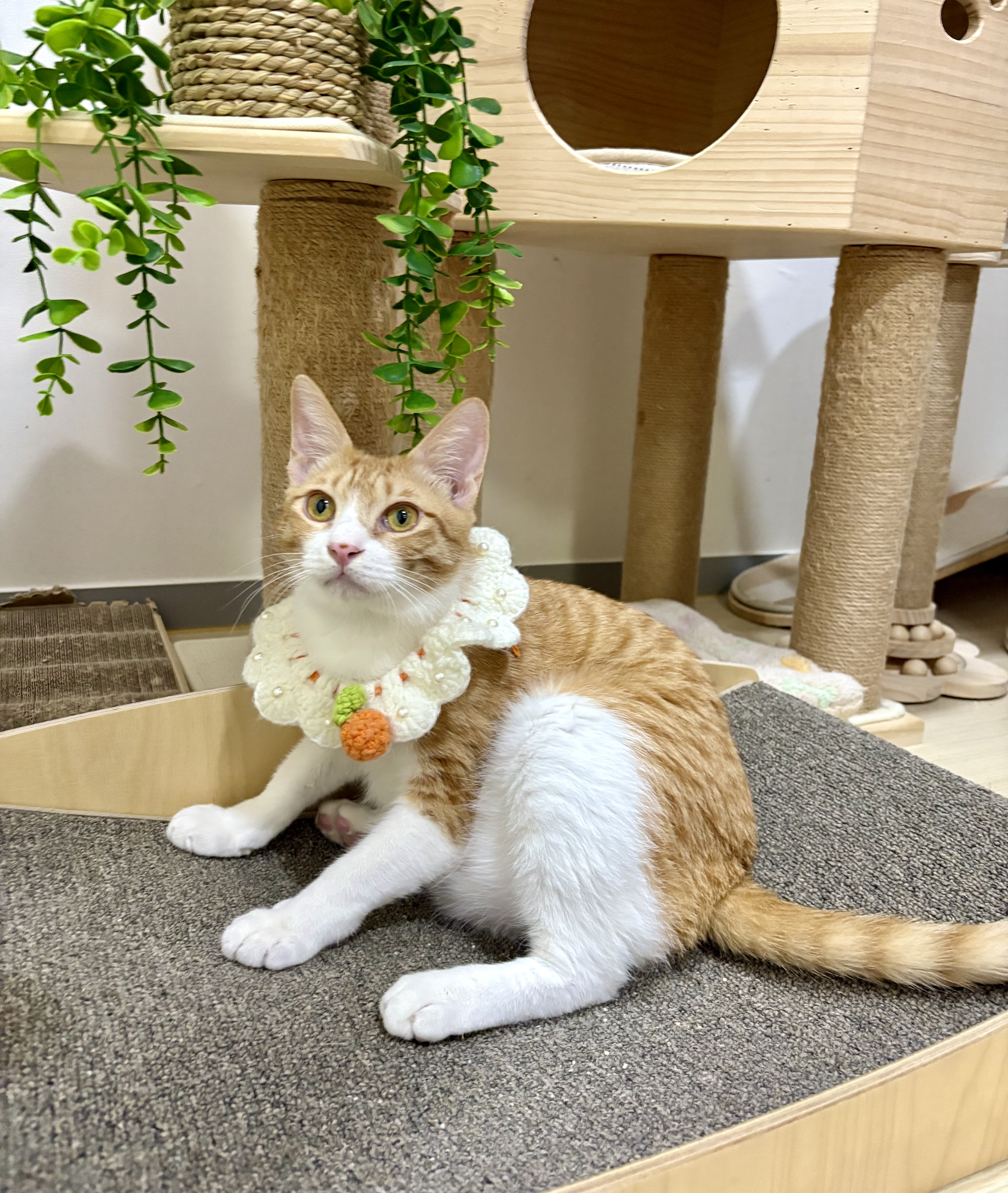 KakaoTalk_20250711_232659866_09 (1).jpg