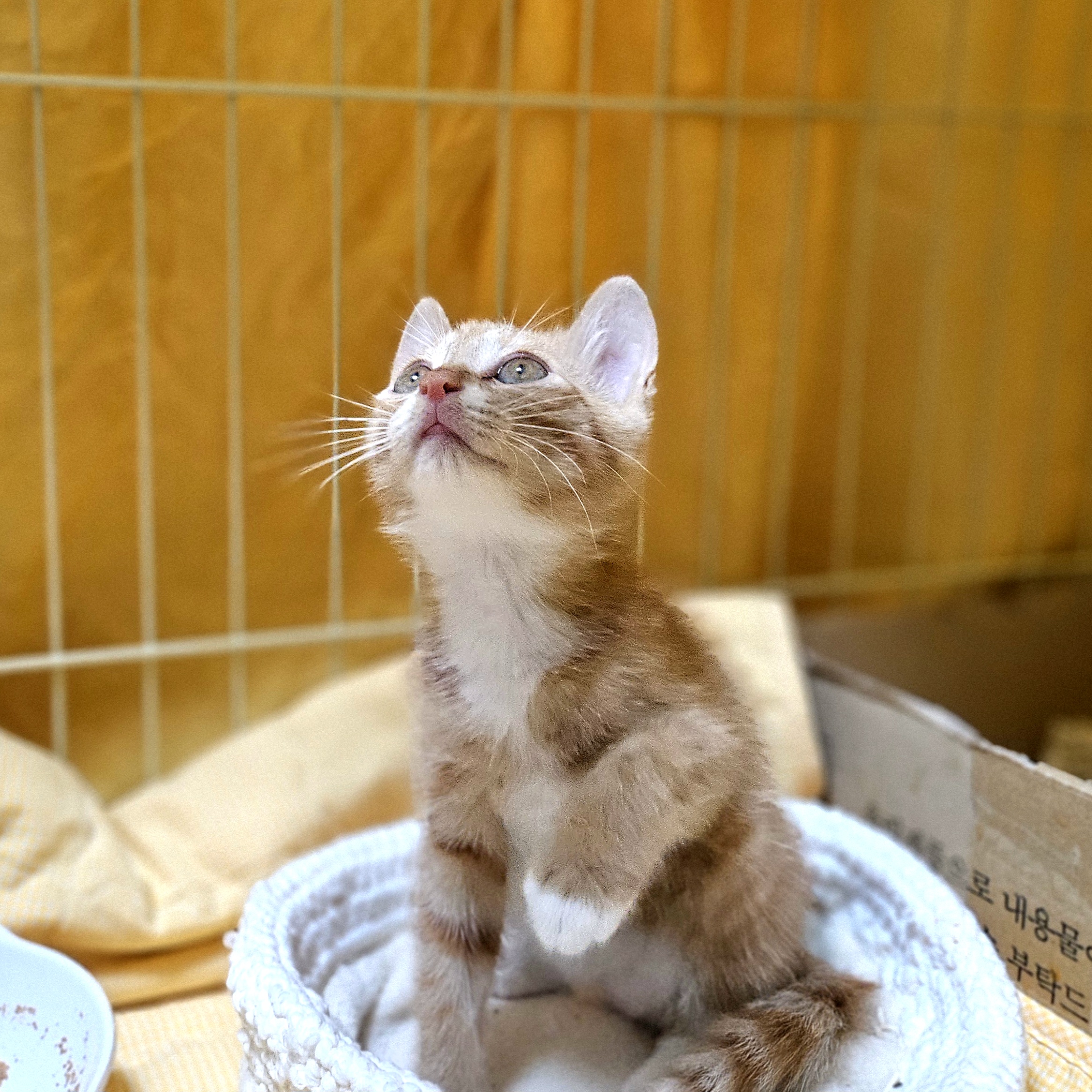 KakaoTalk_20250805_100925330.jpg