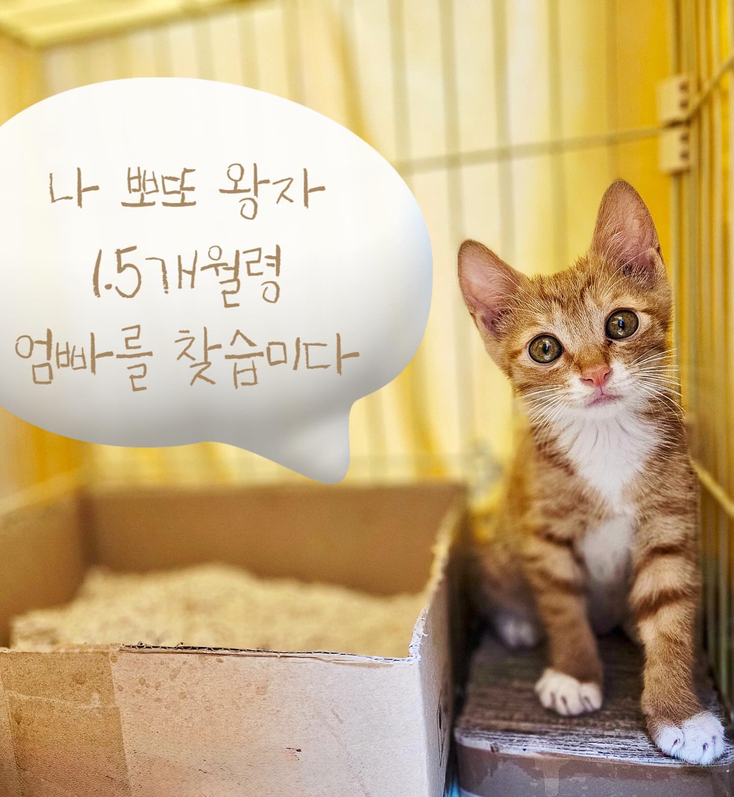 KakaoTalk_20250805_100730220.jpg