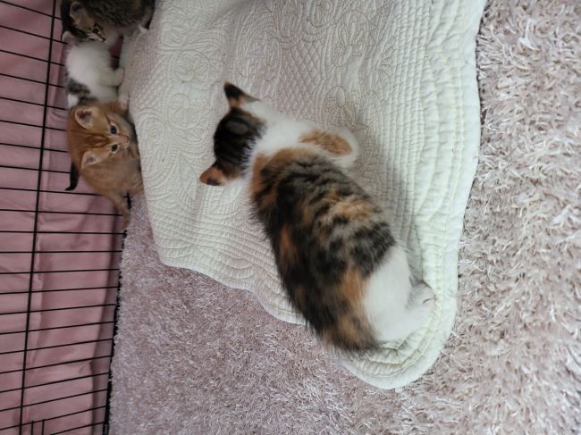 KakaoTalk_20240511_114737115_01.jpg