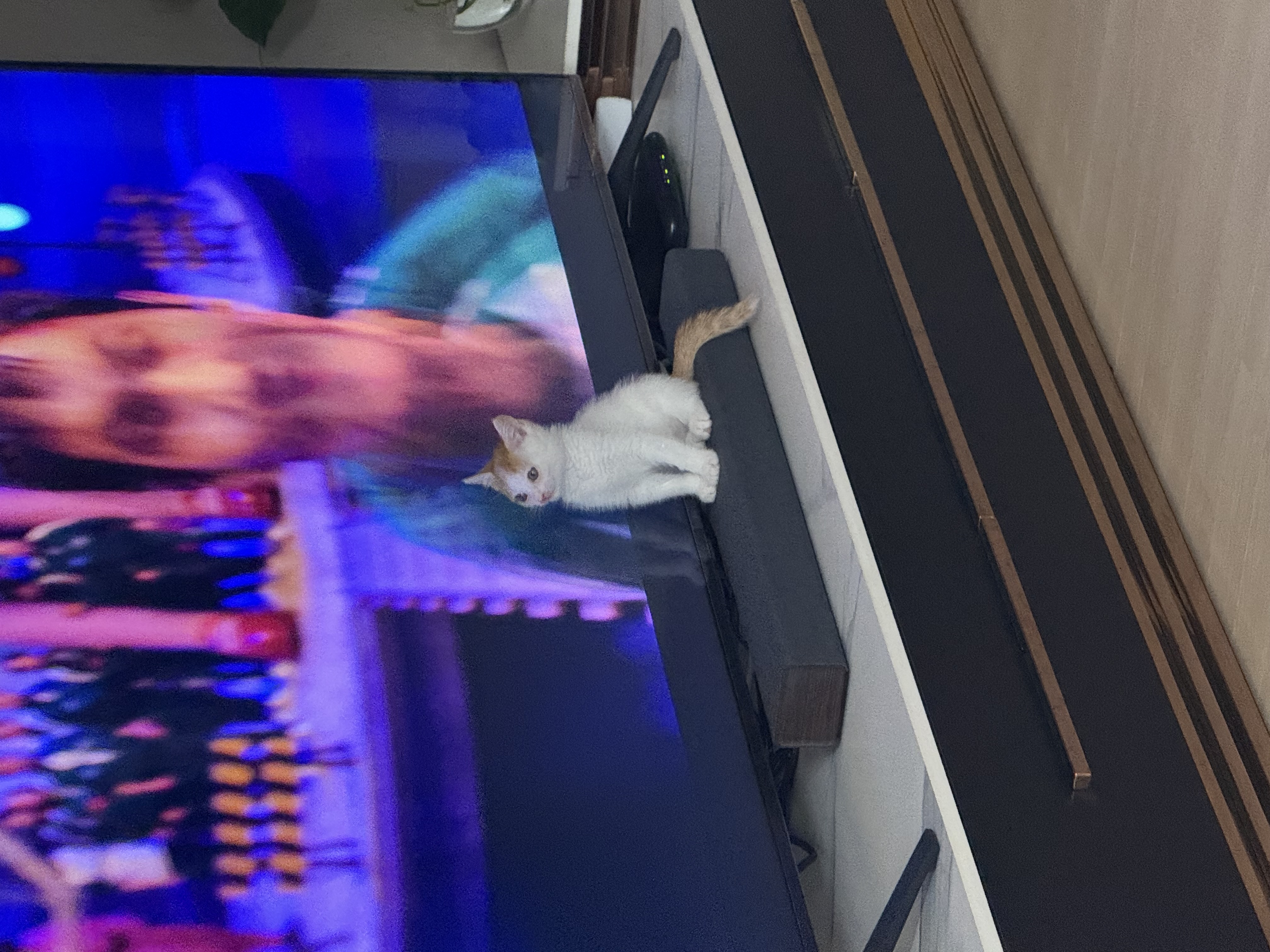 IMG_0990.jpeg