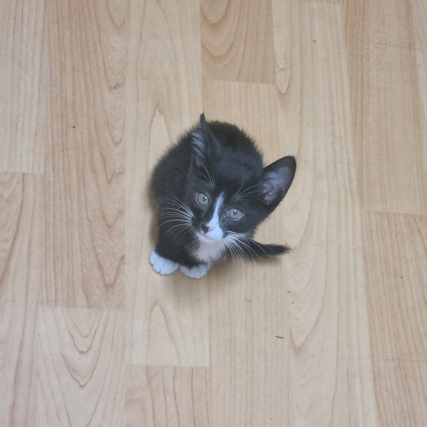 KakaoTalk_20250705_000438786.jpg