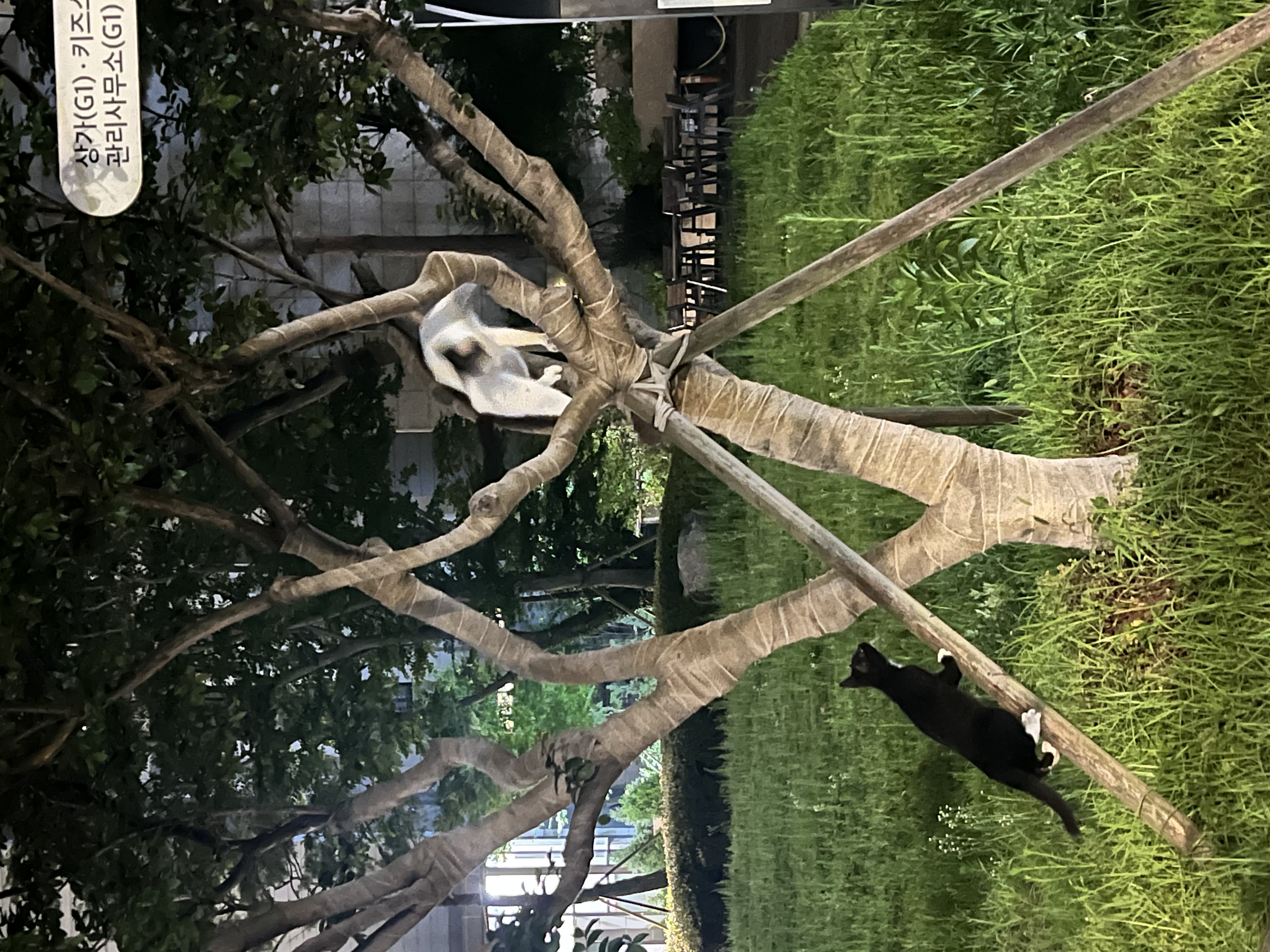 IMG_0995.jpeg