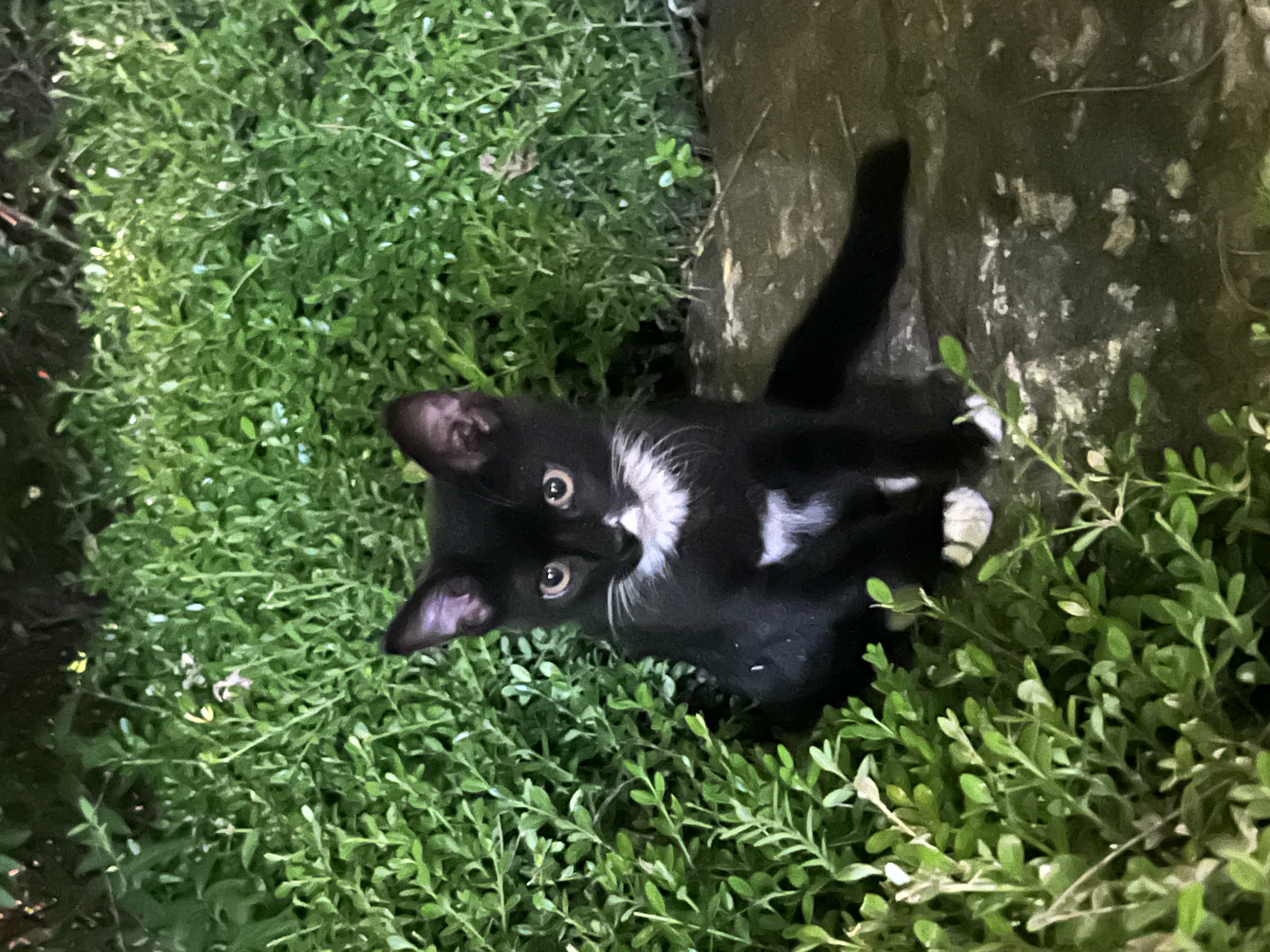 IMG_0999.jpeg