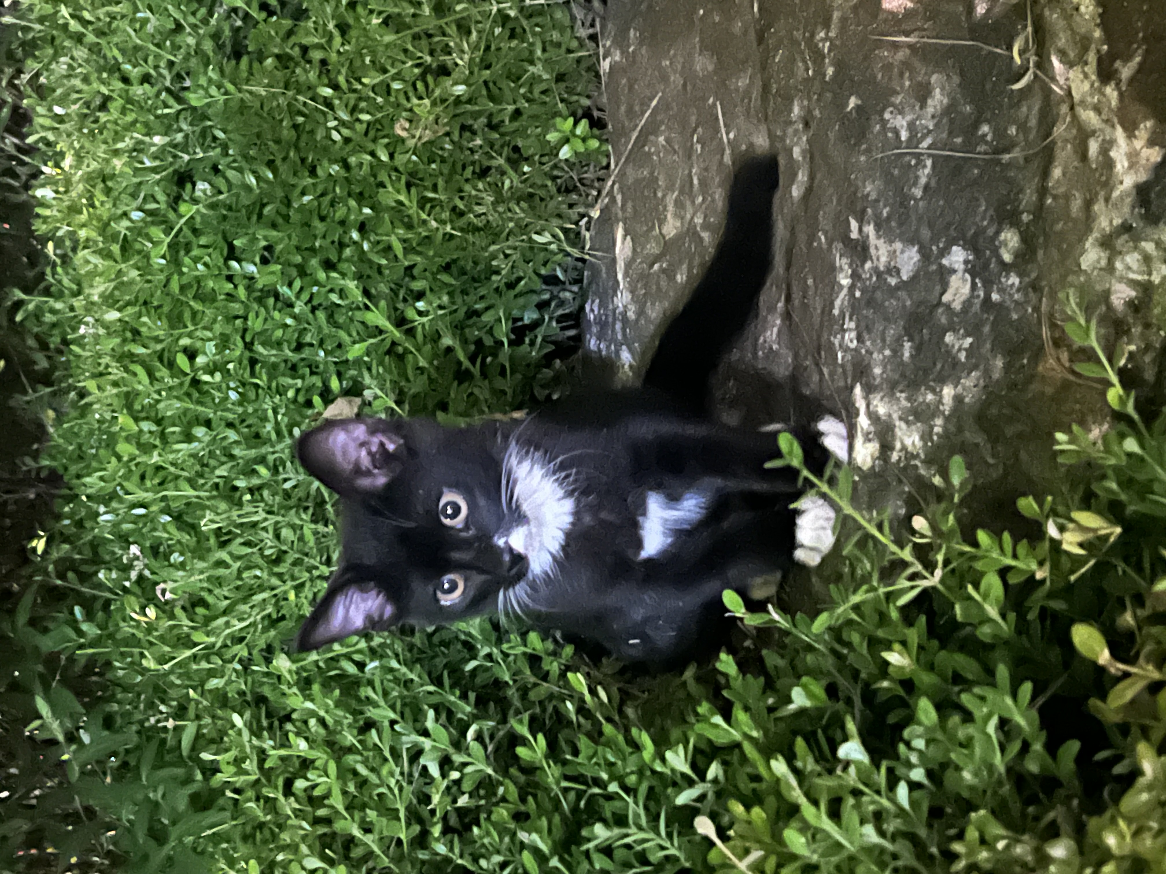 IMG_0998.jpeg
