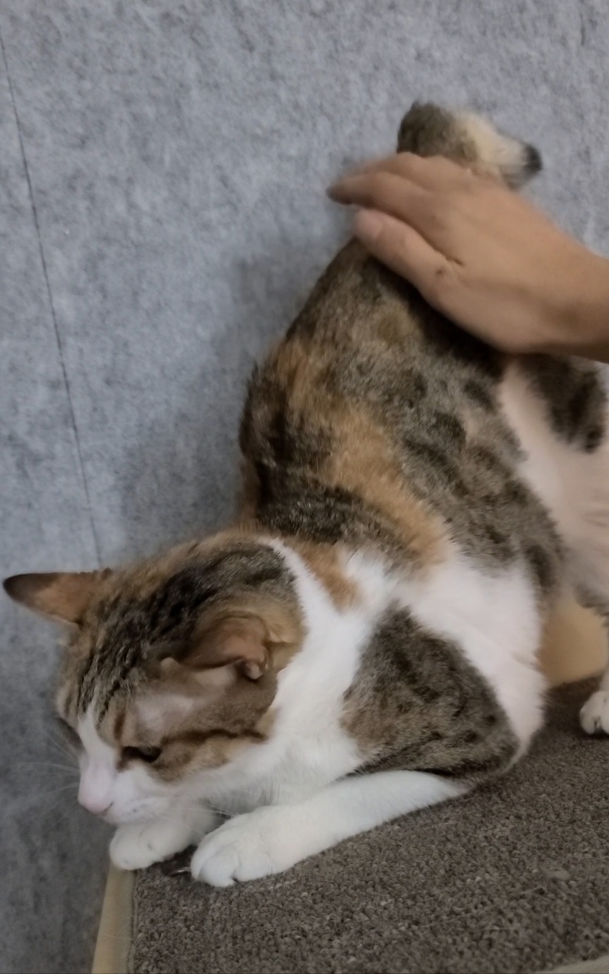 KakaoTalk_20250728_144059706_05.jpg