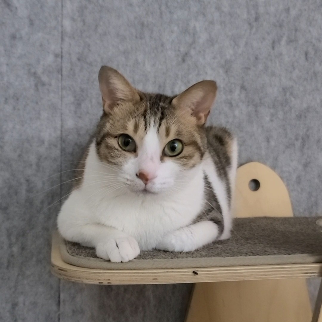 KakaoTalk_20250728_144059706.jpg