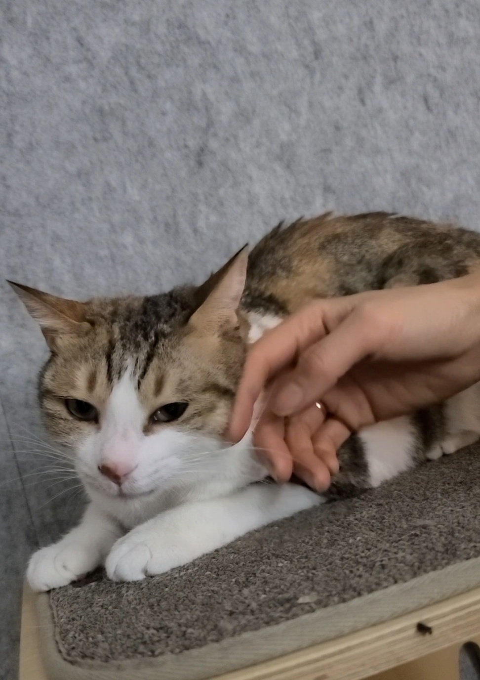 KakaoTalk_20250728_144059706_04.jpg