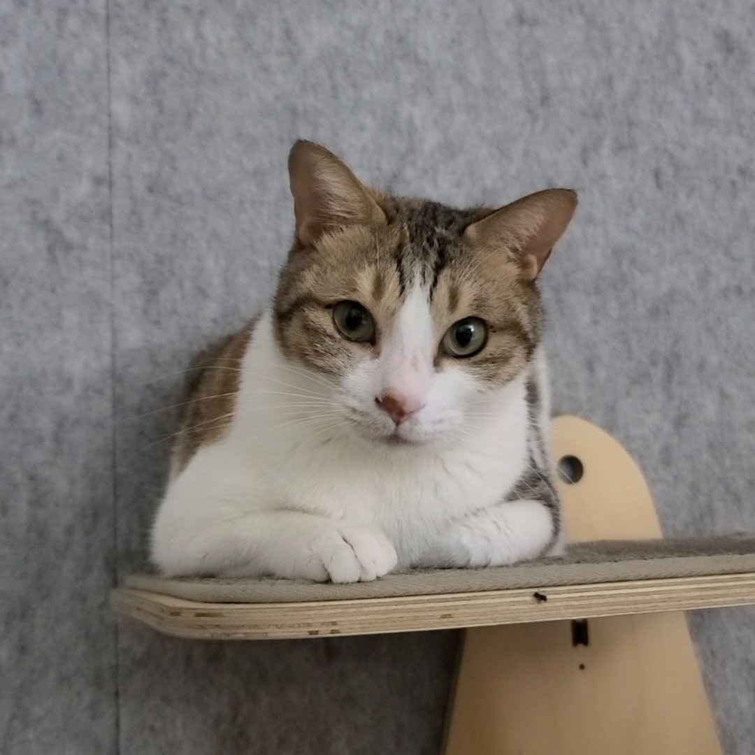 KakaoTalk_20250728_144059706_01.jpg