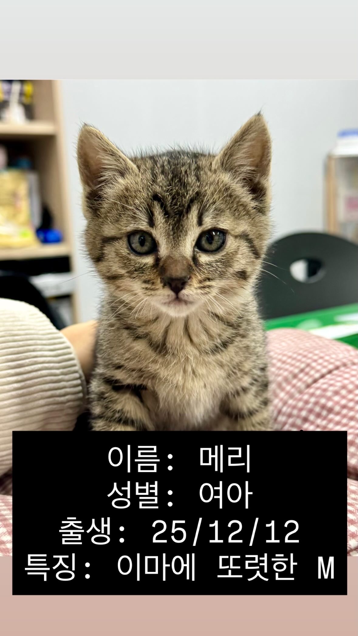 KakaoTalk_20260202_191813365.jpg