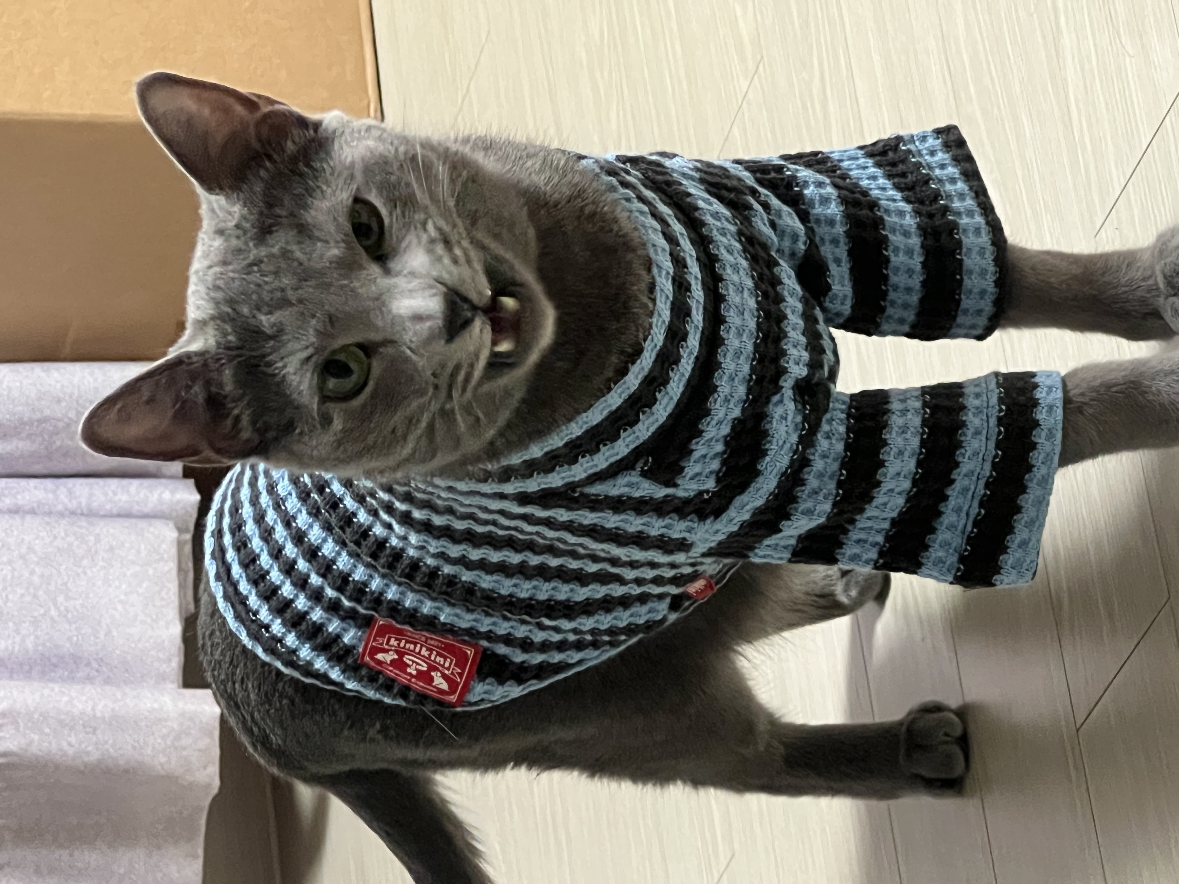 KakaoTalk_20250718_123417577.jpg