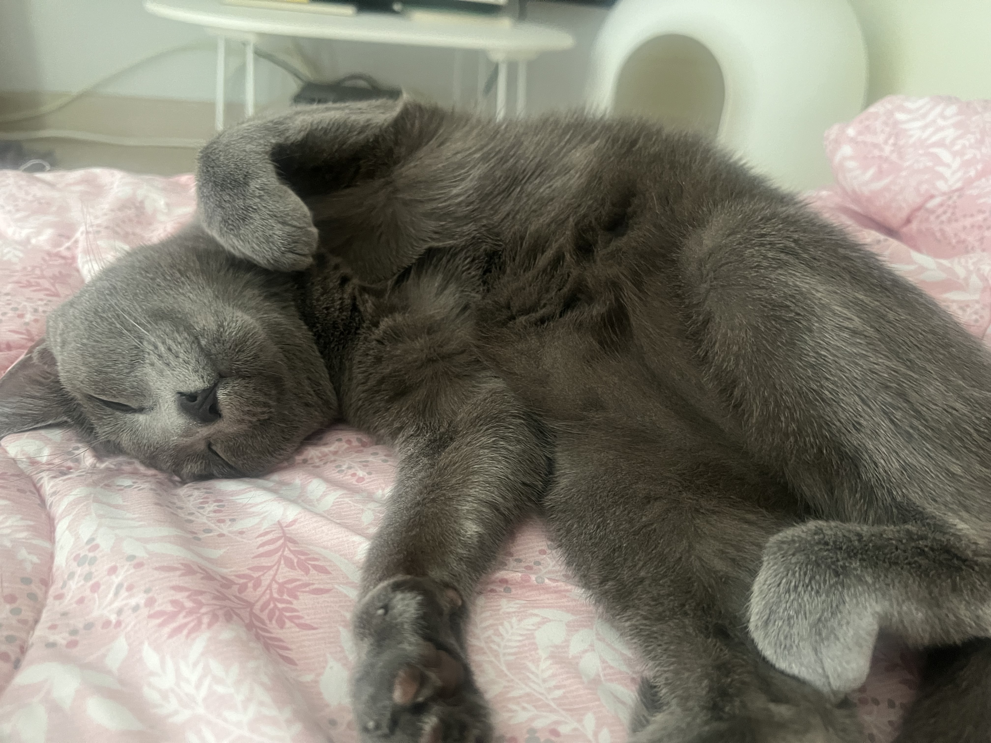 KakaoTalk_20250718_123414523.jpg