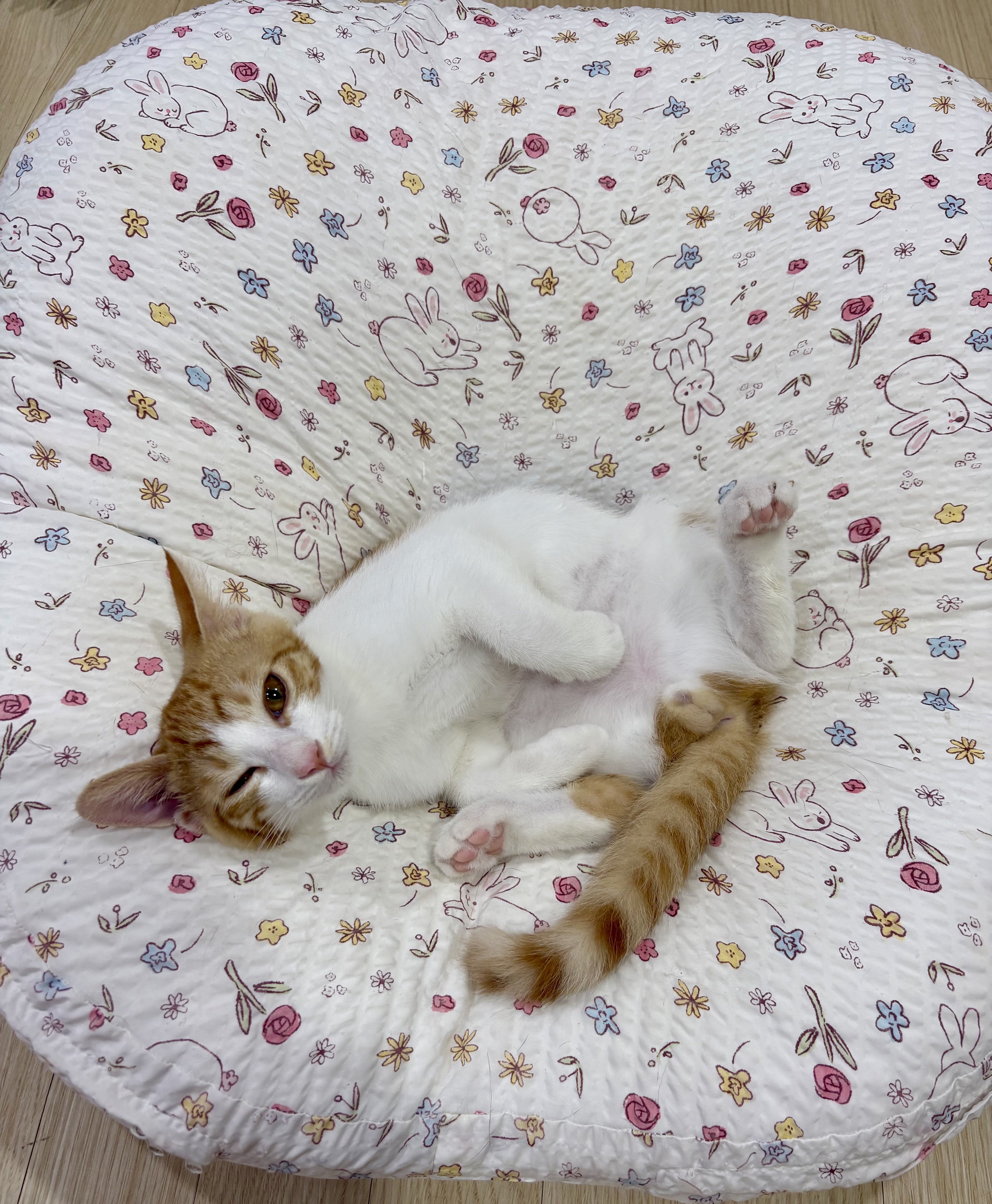 KakaoTalk_20250804_233358197.jpg