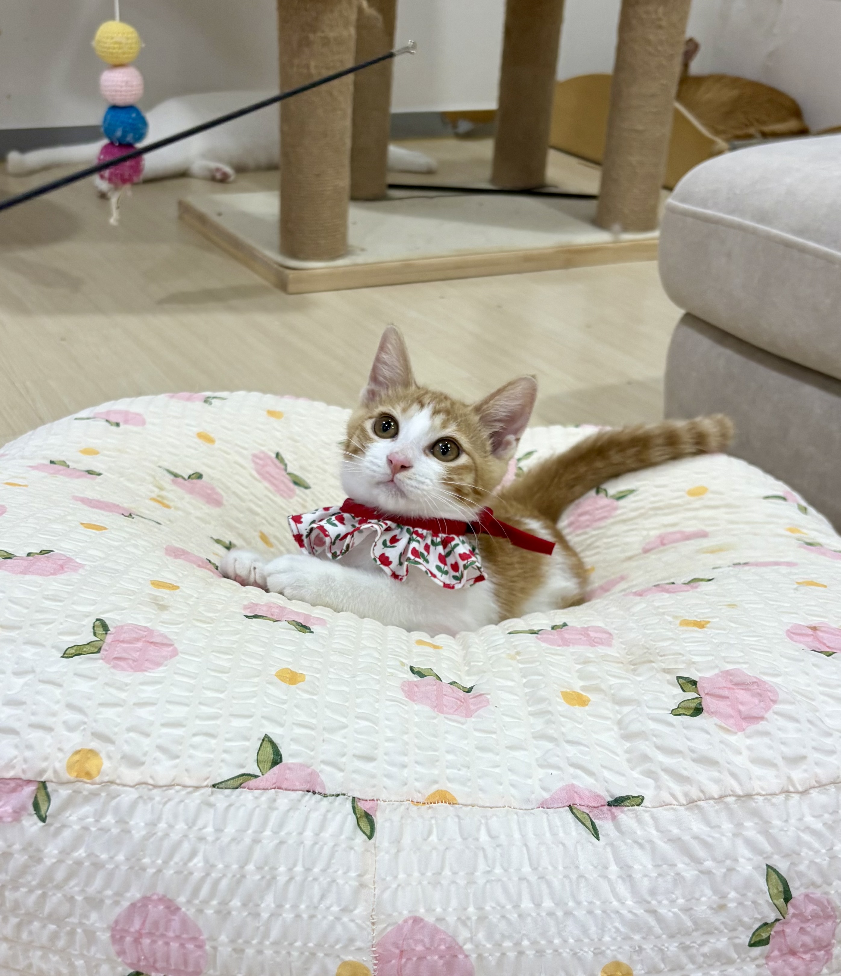 KakaoTalk_20250724_231313574_01.jpg