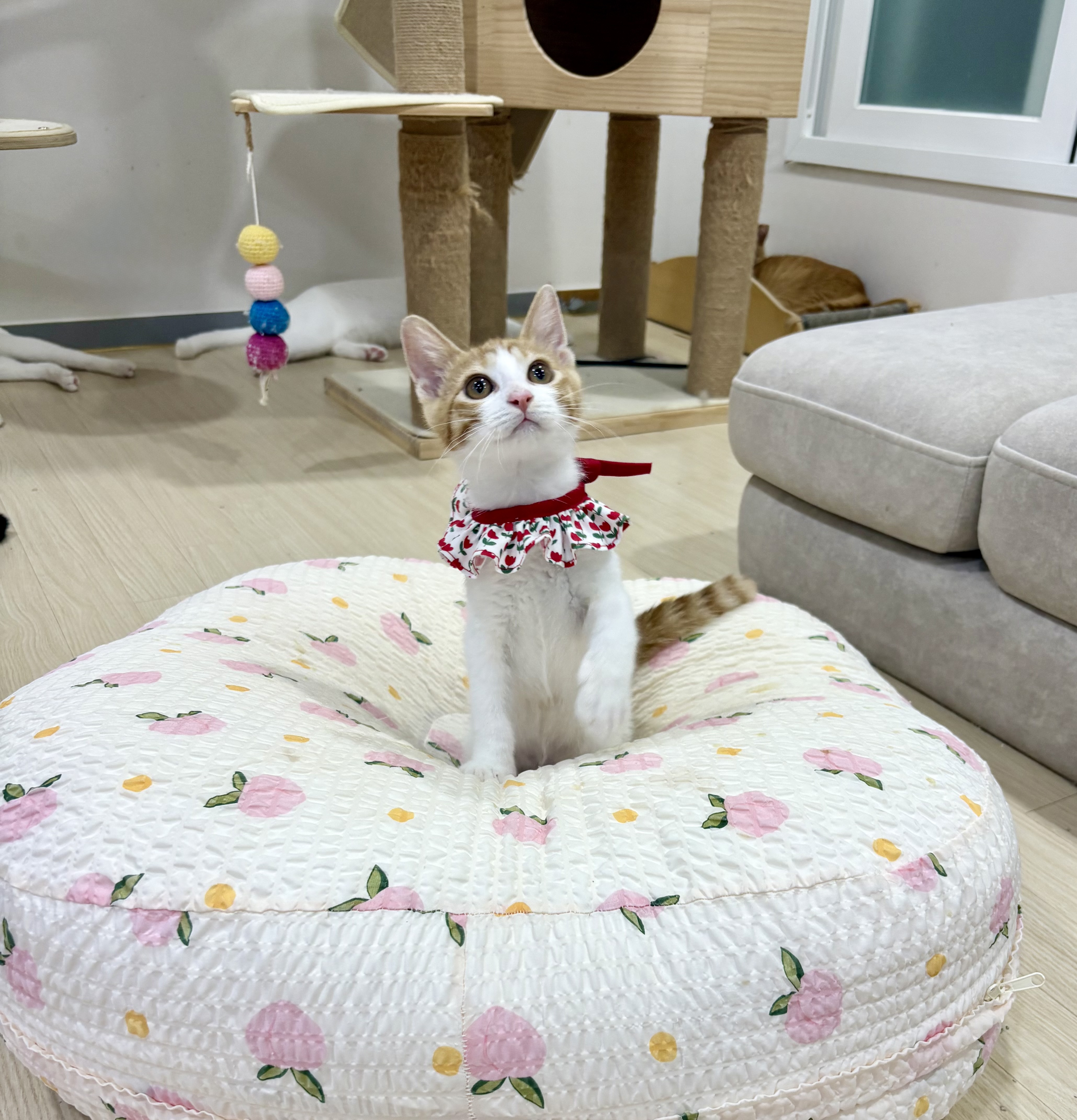 KakaoTalk_20250724_231313574.jpg