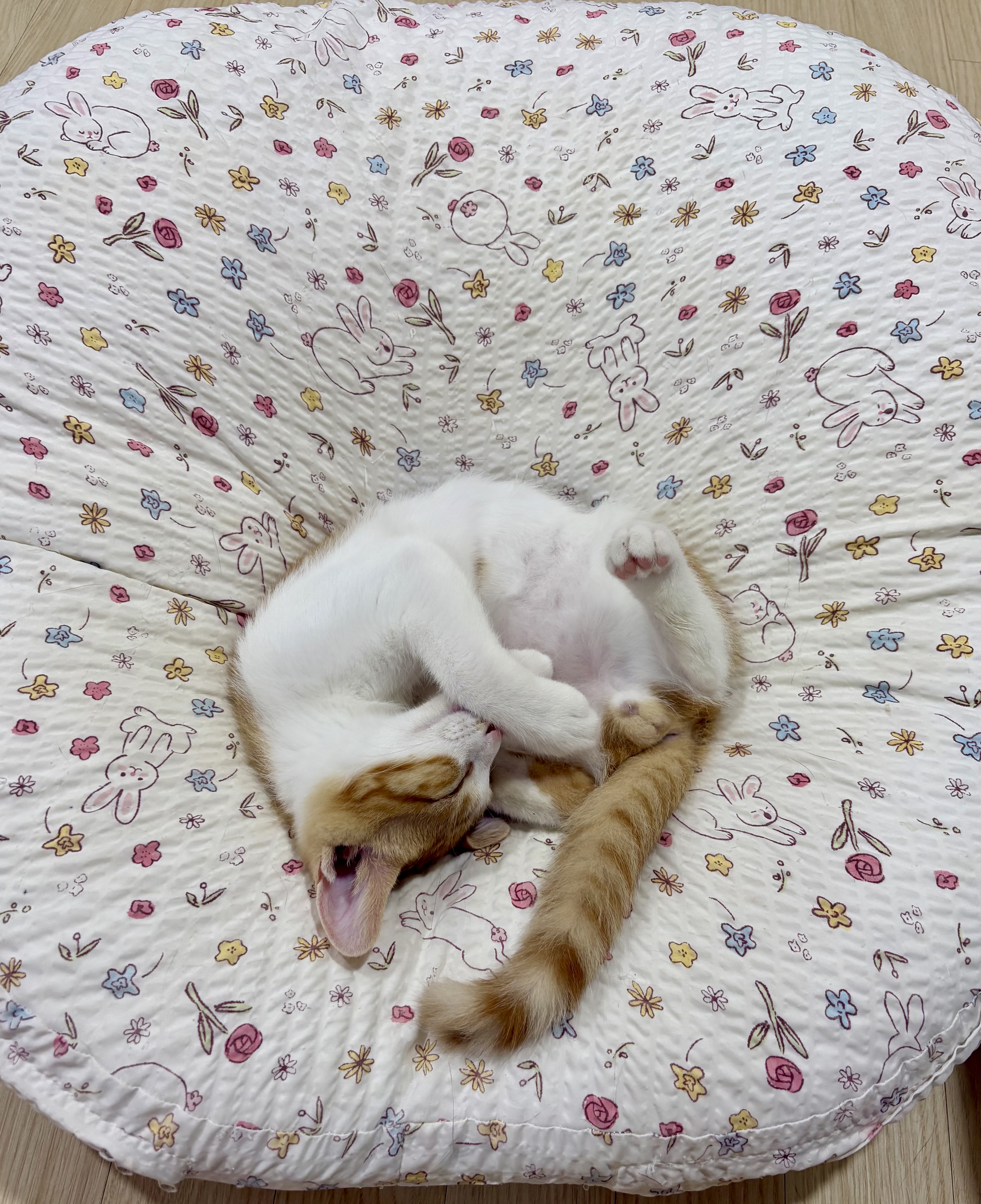 KakaoTalk_20250804_233358197_01.jpg