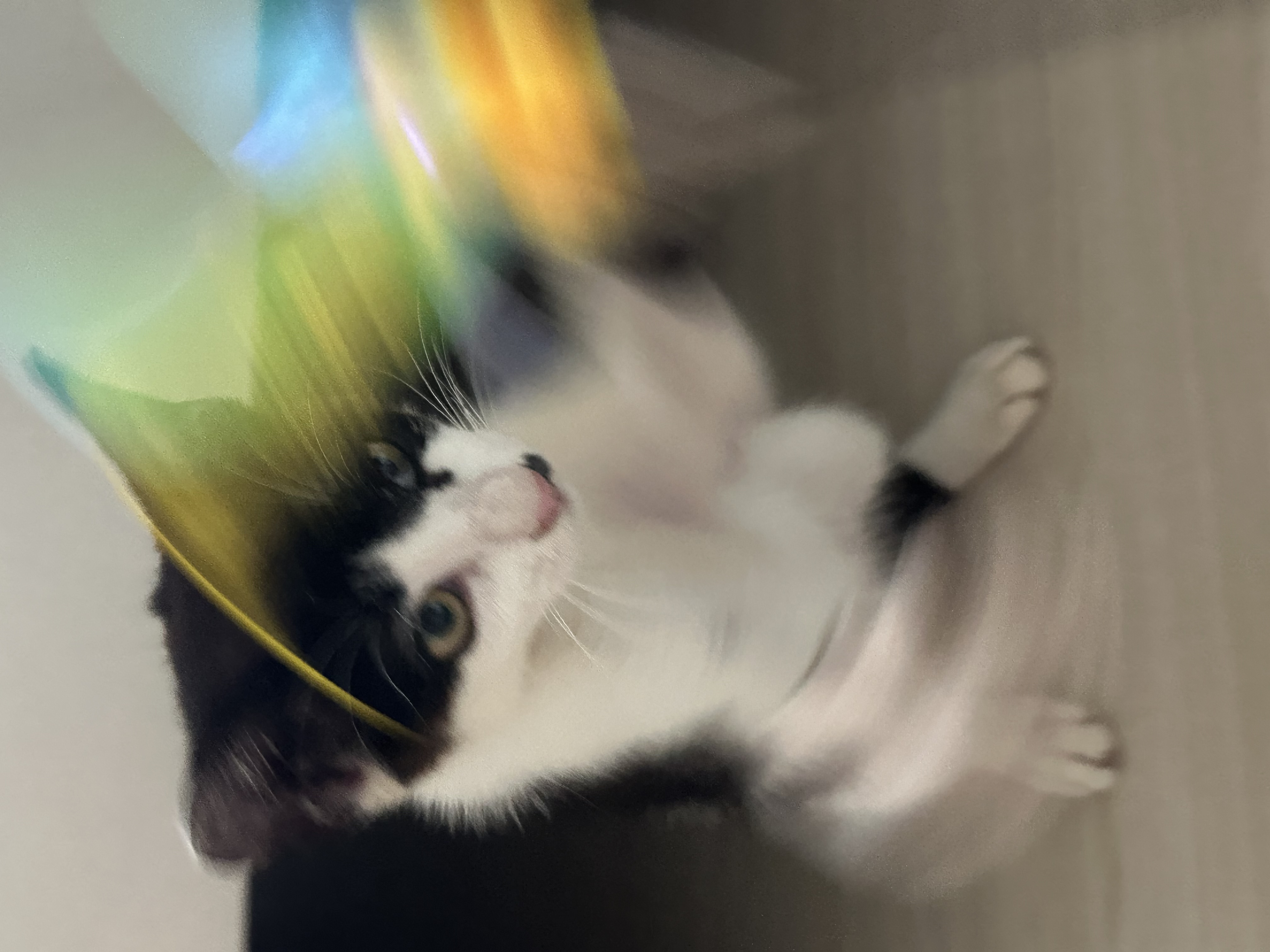 에버2.jpg