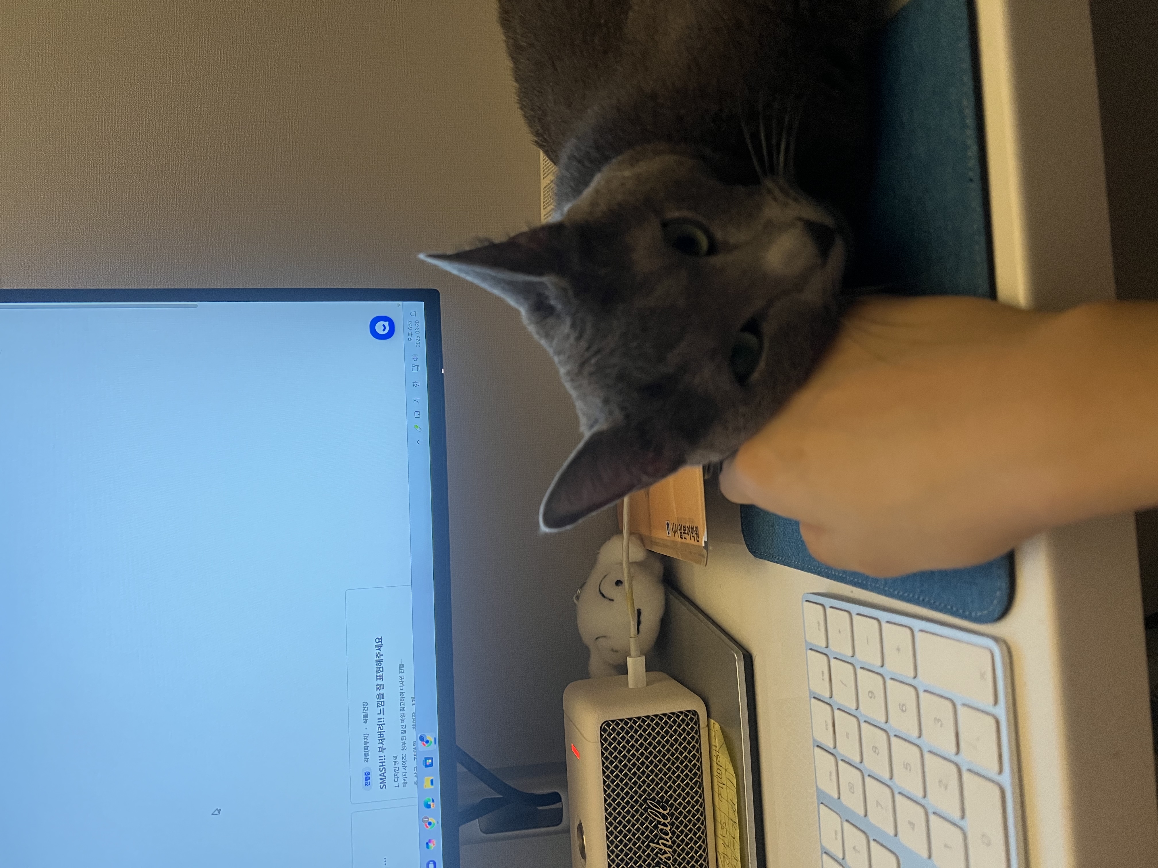 KakaoTalk_20250718_123416196.jpg