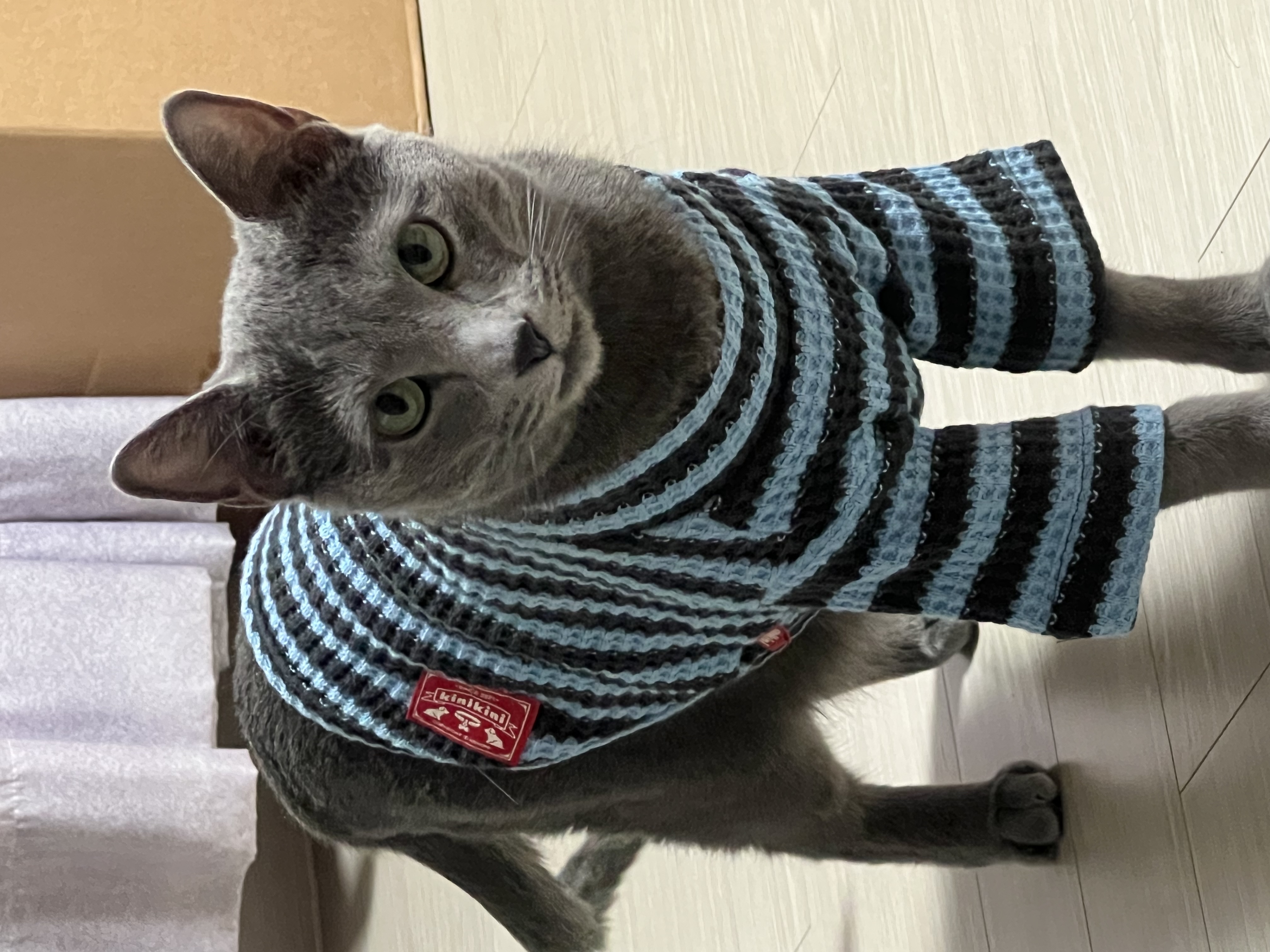KakaoTalk_20250718_123416880.jpg