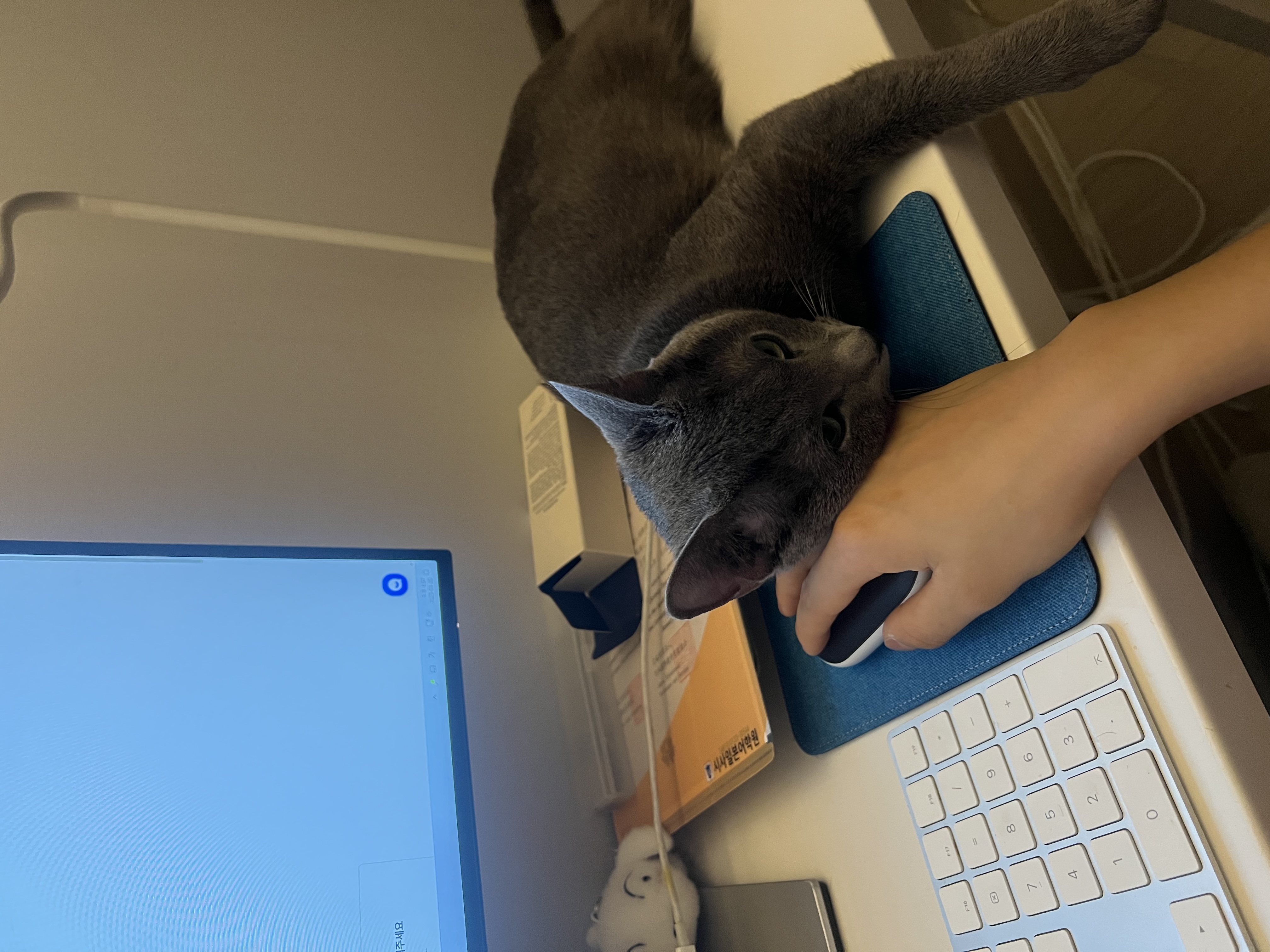KakaoTalk_20250718_123415310.jpg