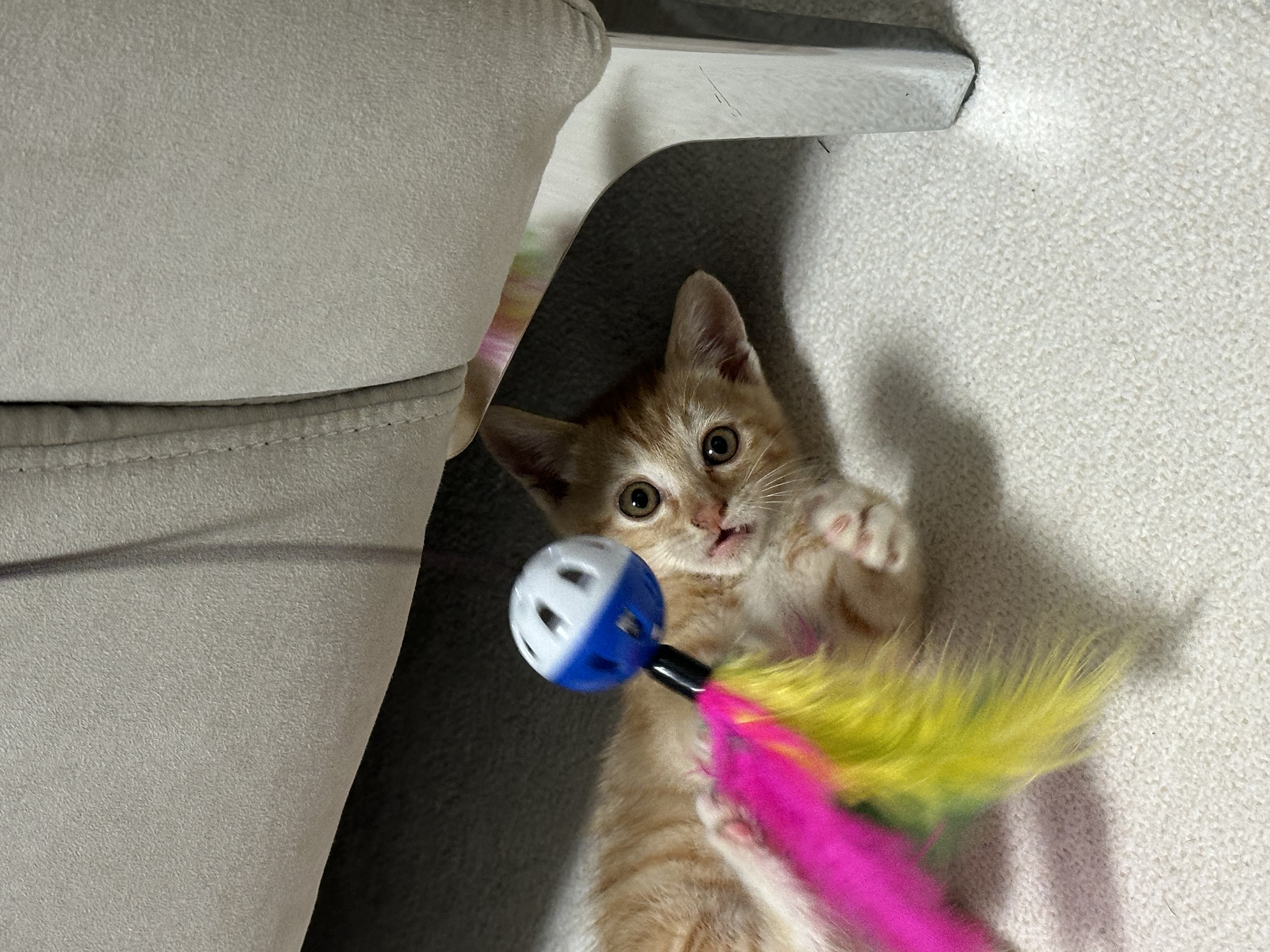 KakaoTalk_20250715_091601369.jpg