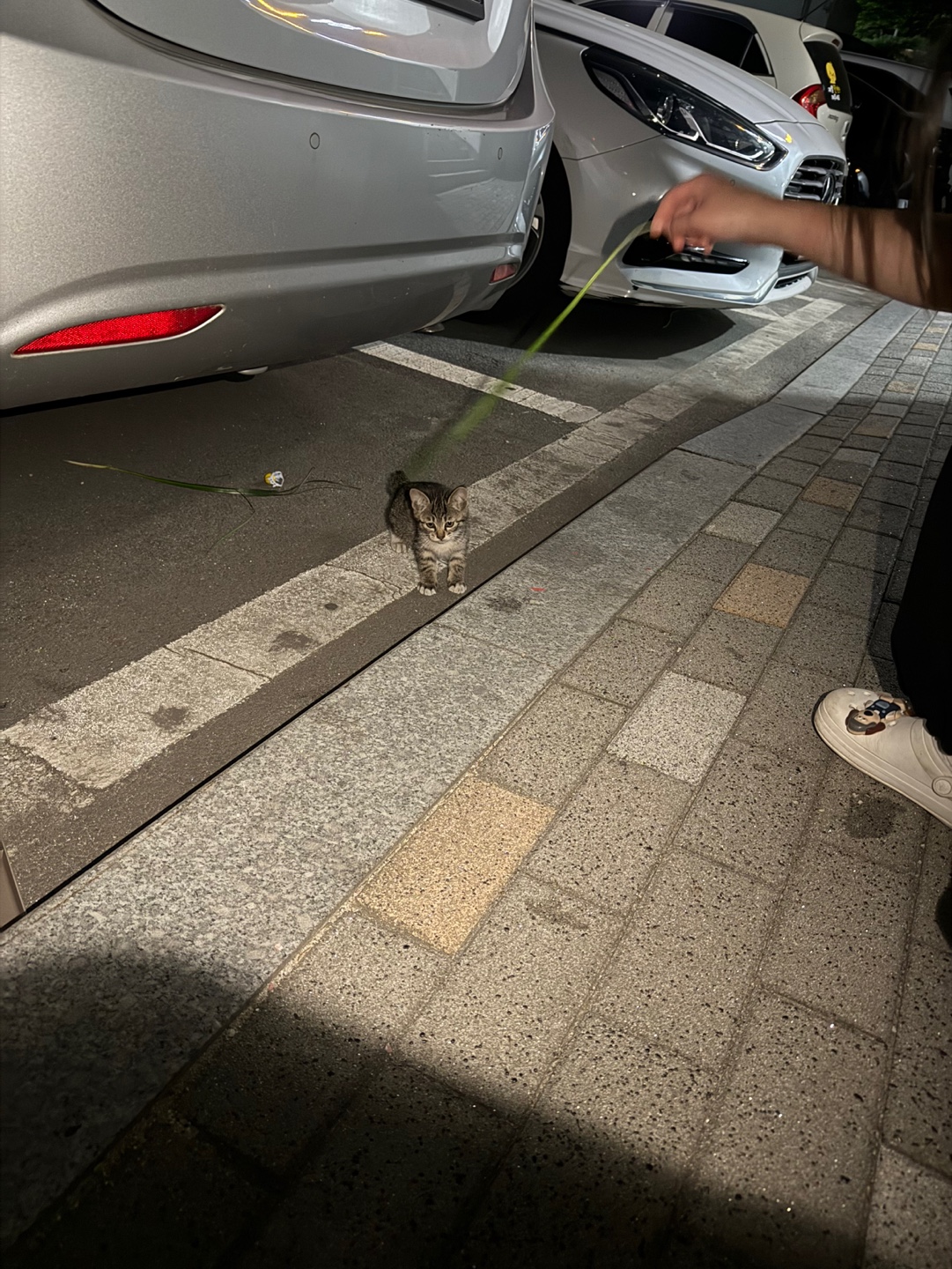 KakaoTalk_20250523_120853394.jpg